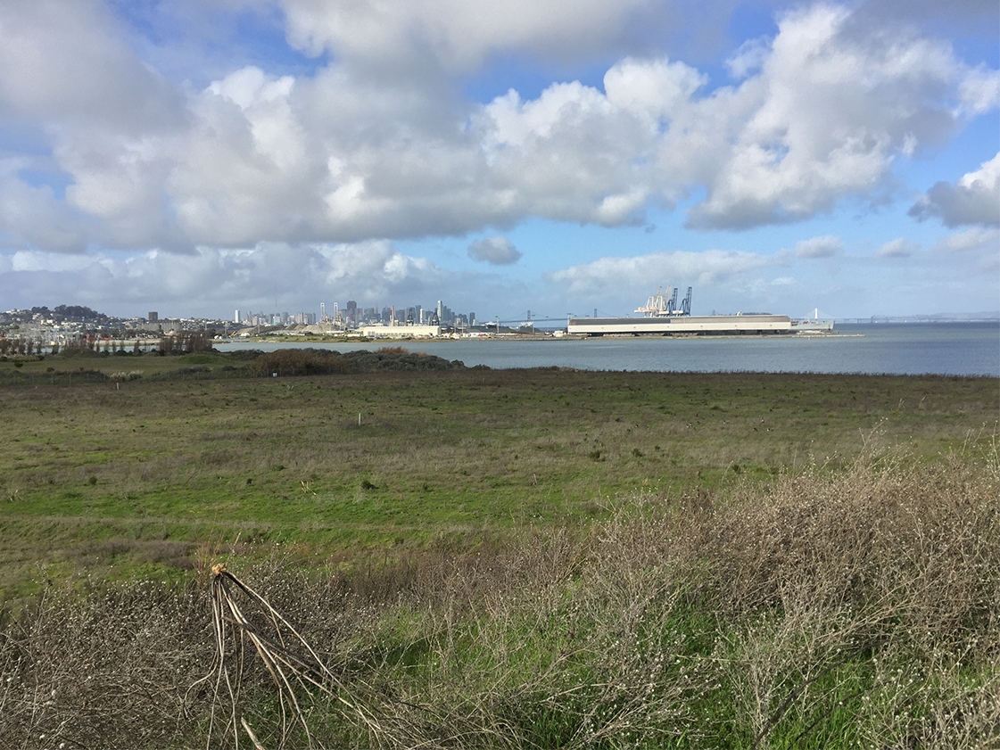 Hunters Point Northside Park
