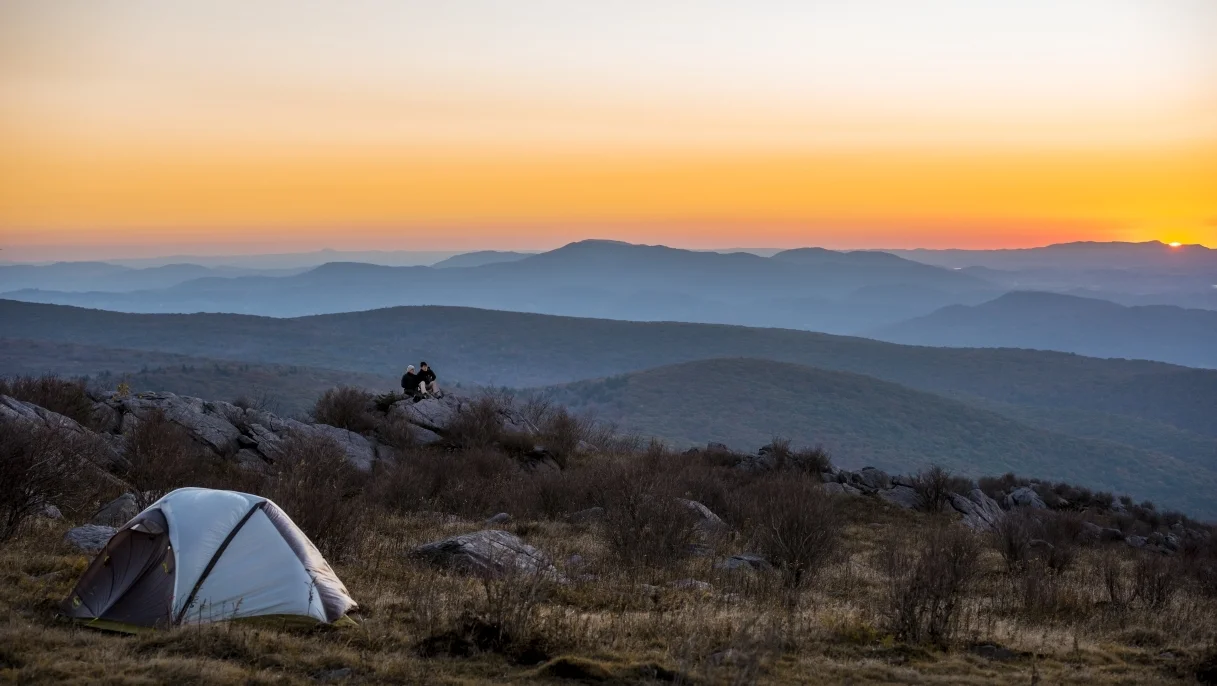 otg_01_blog.virginia.org.jpg