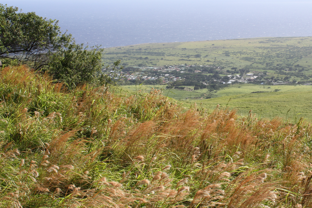 Ka’u Royal – Water Master Plan