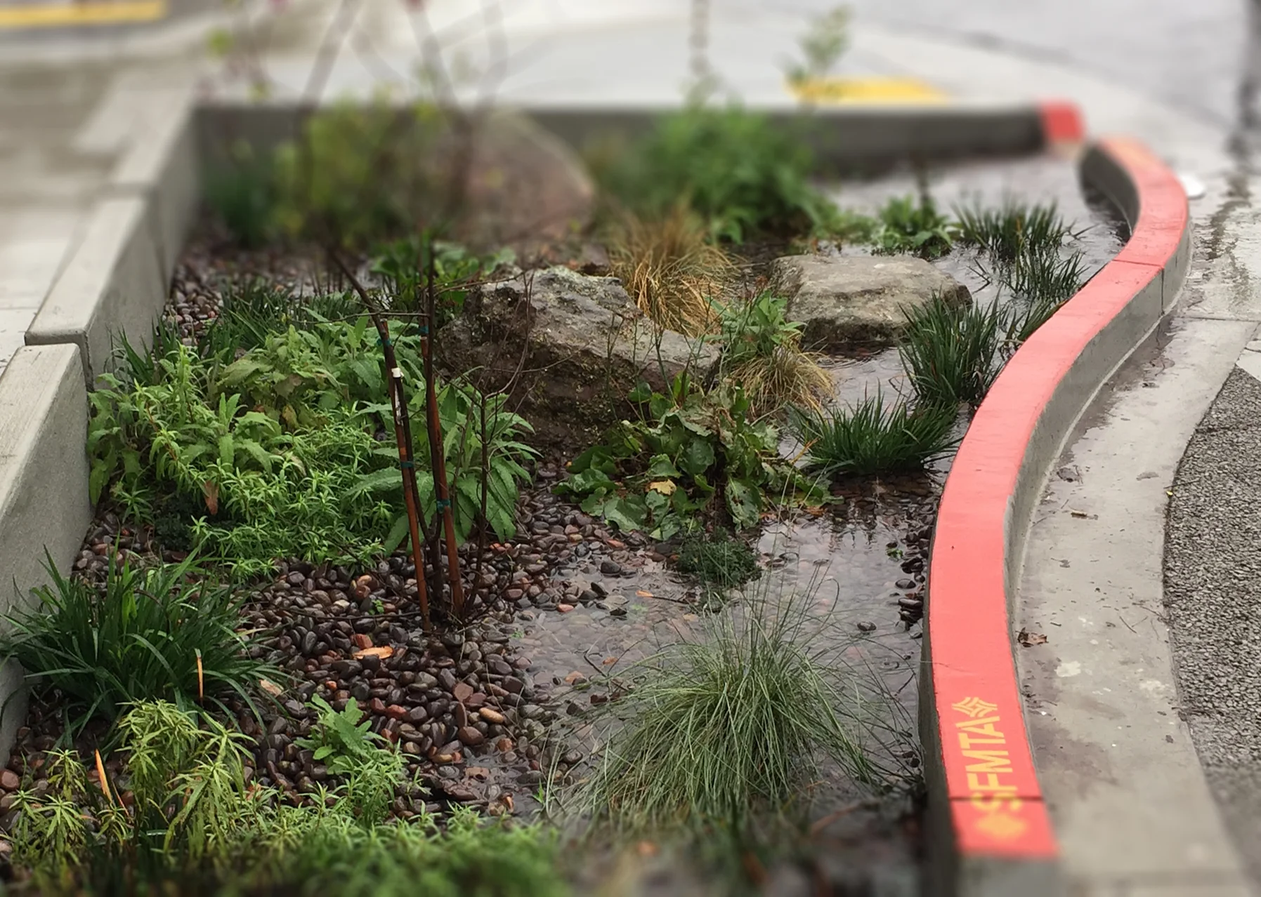 Planter_Curb_Rain_zoom_04.jpg