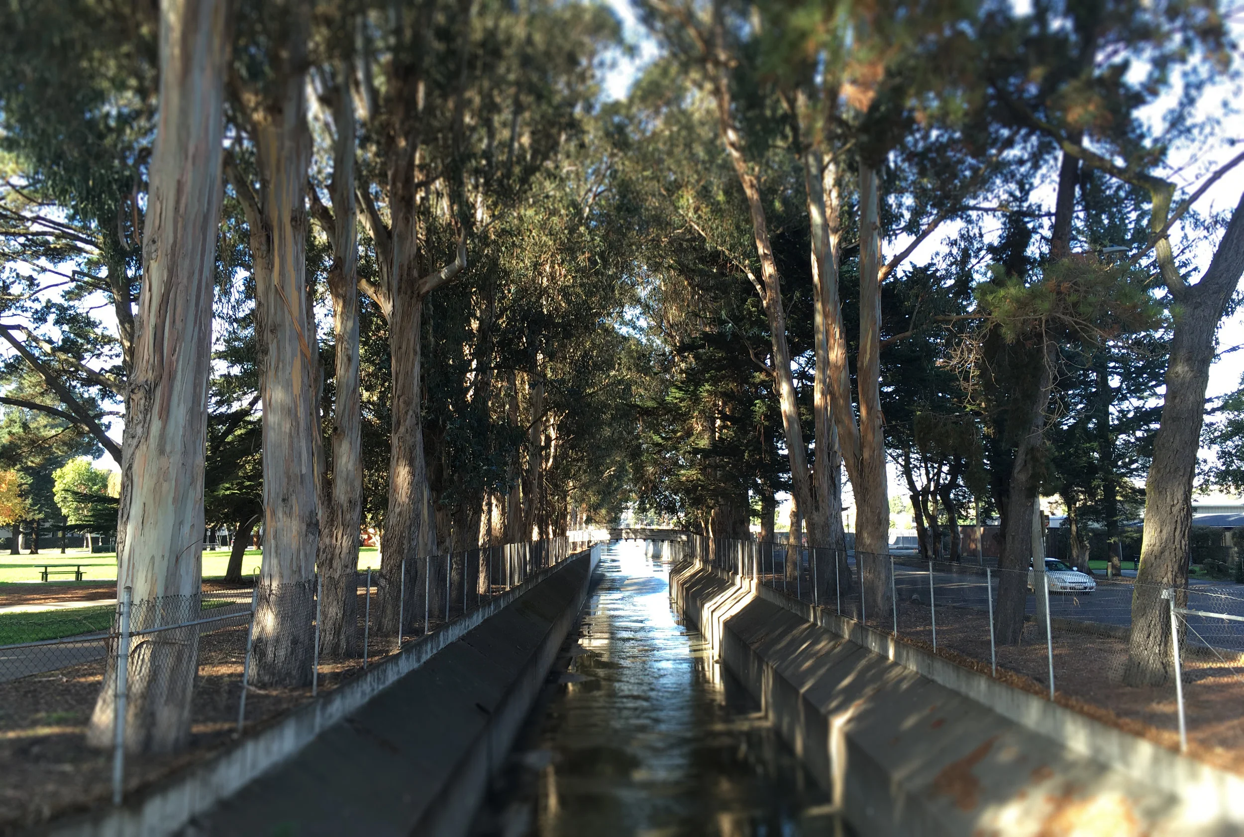 colma creek