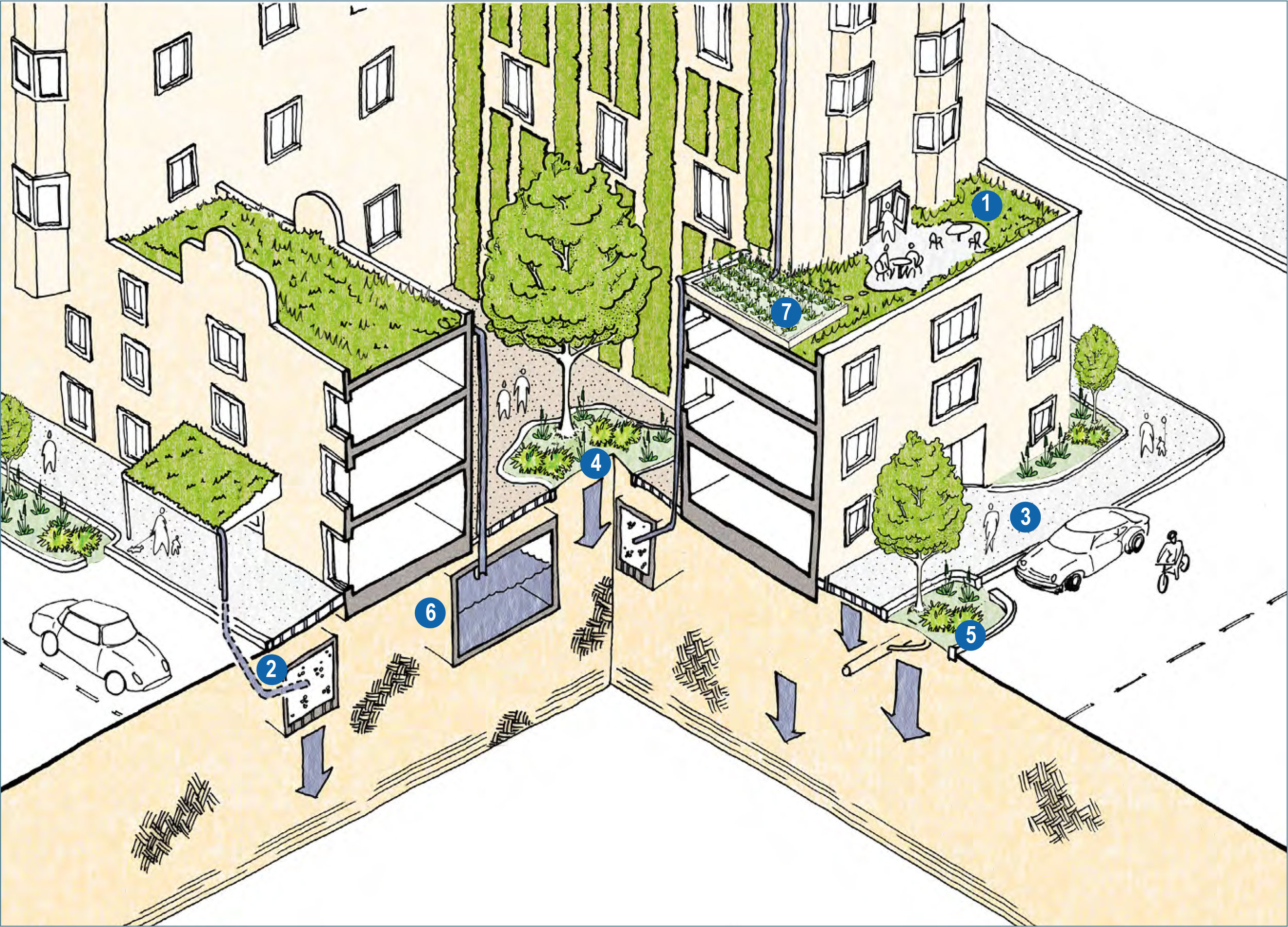 high density residential illustrative bmp example