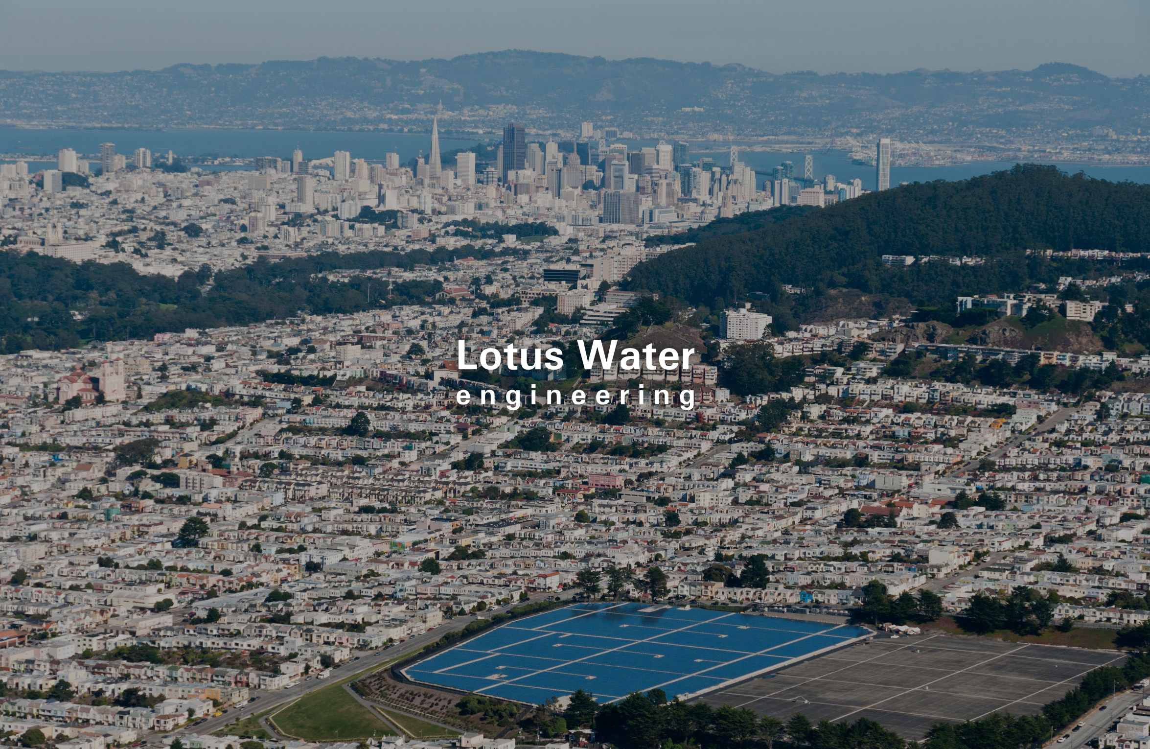 Lotus Water