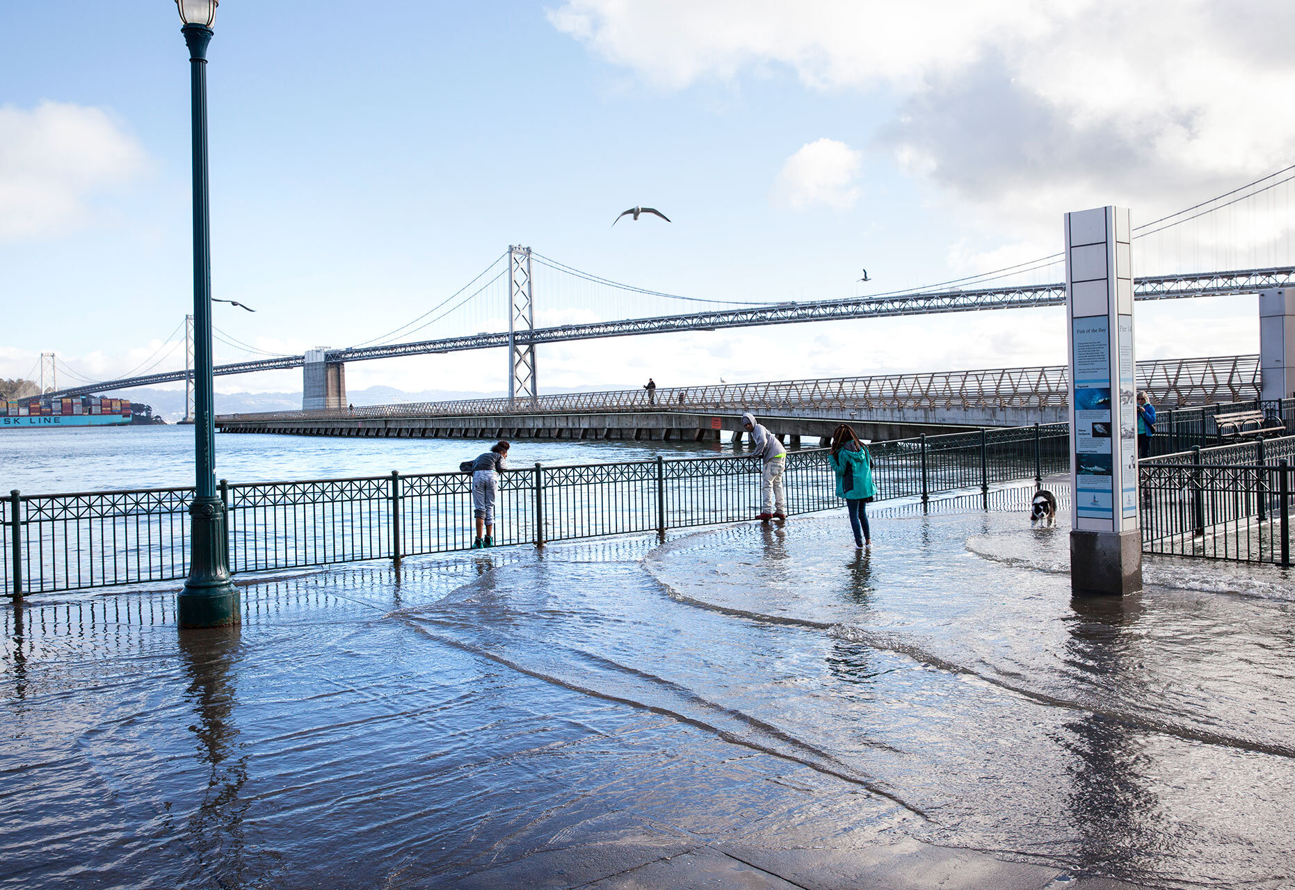 king tides along sf embarcadero