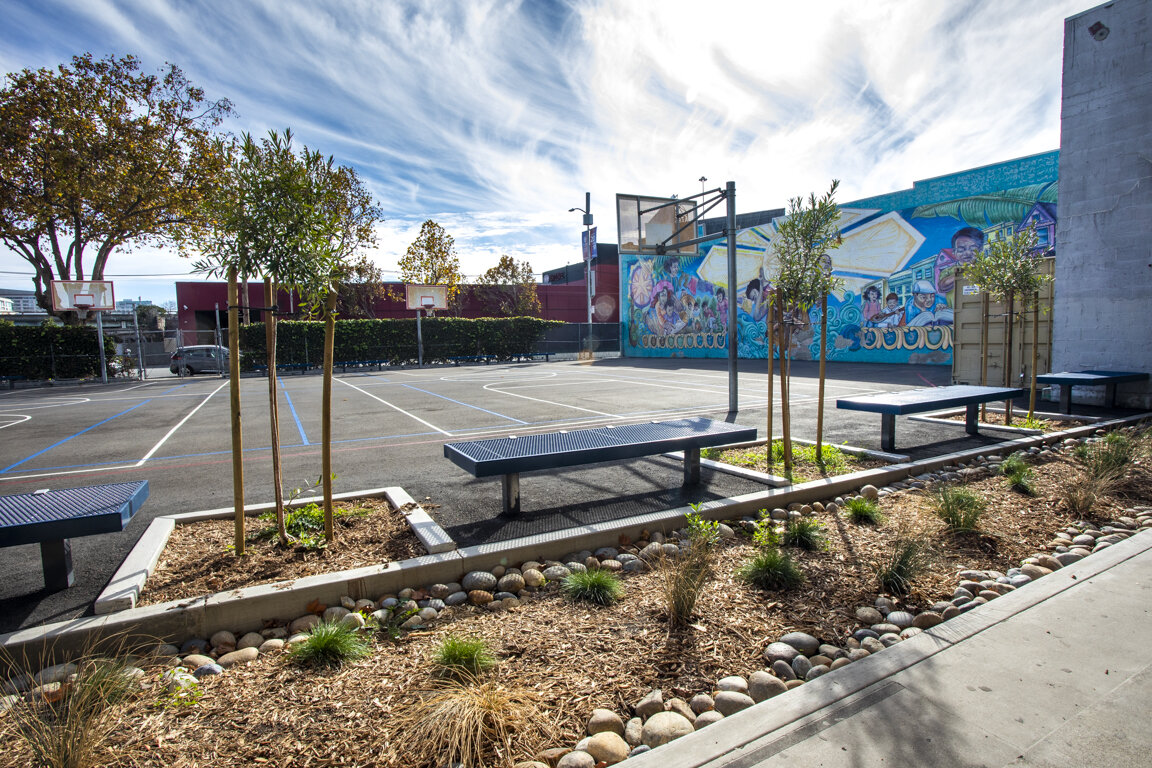 in-ground bioretention basin