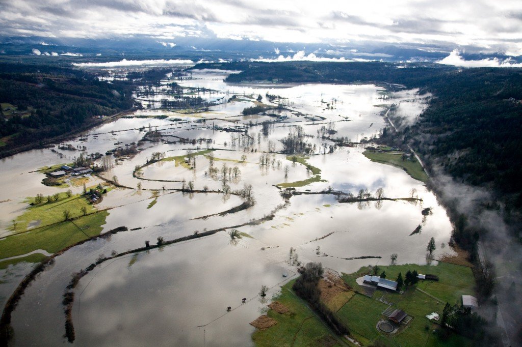   Flood Resilience + Climate Adaptation  