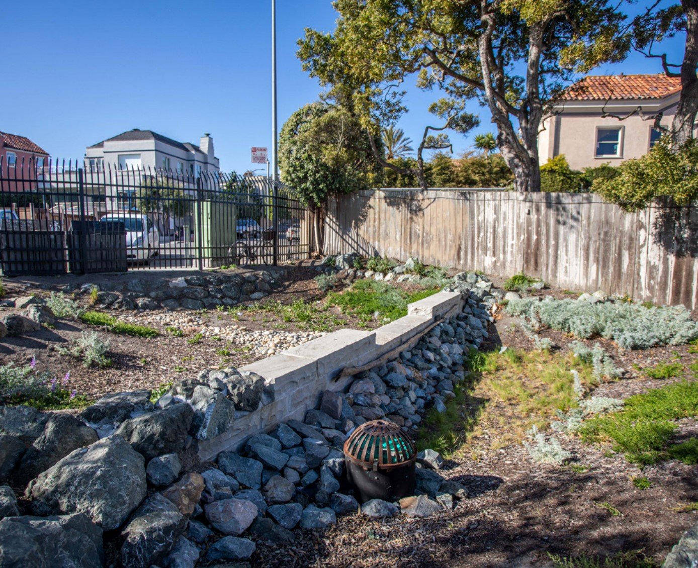 rain gardens @ baker beach