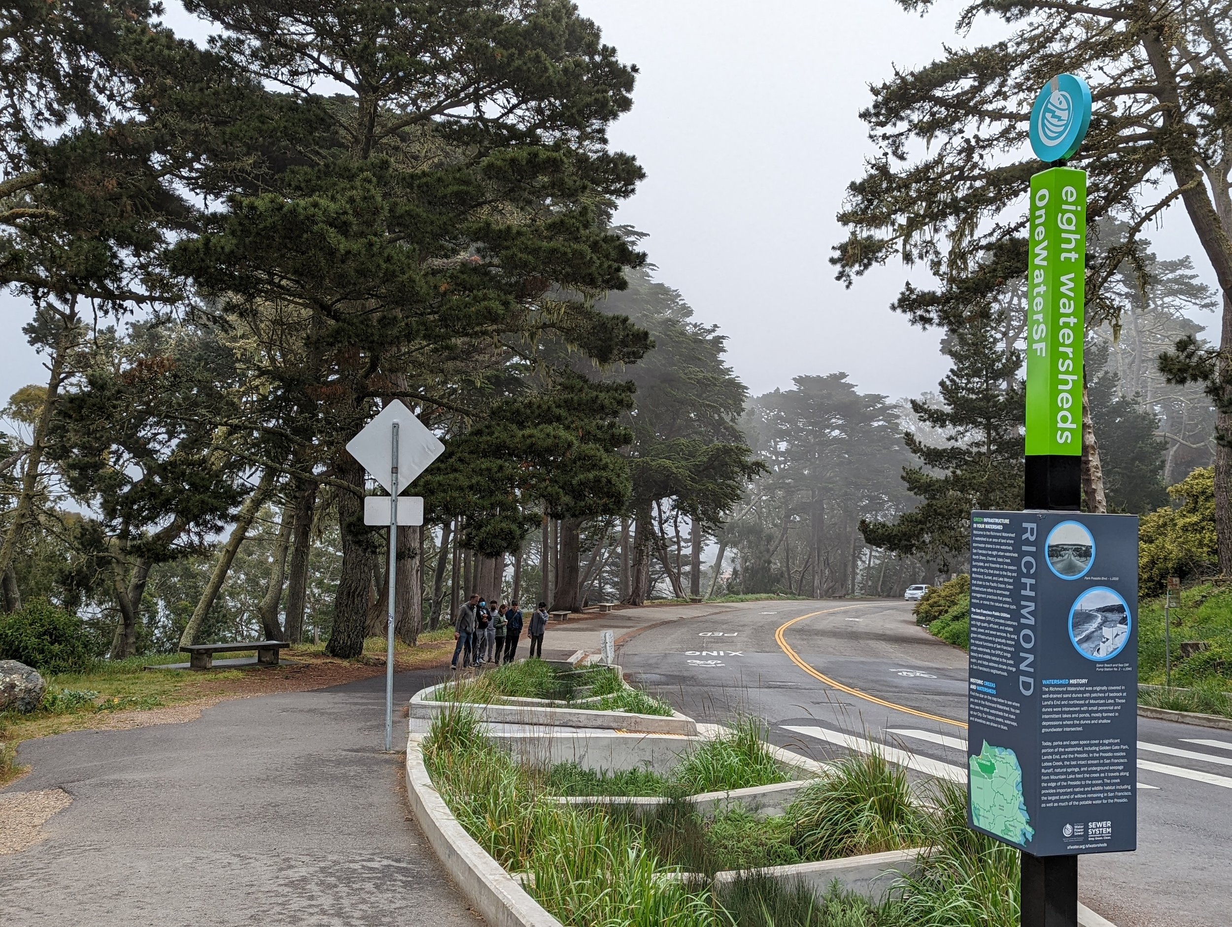 rain gardens @ trailhead