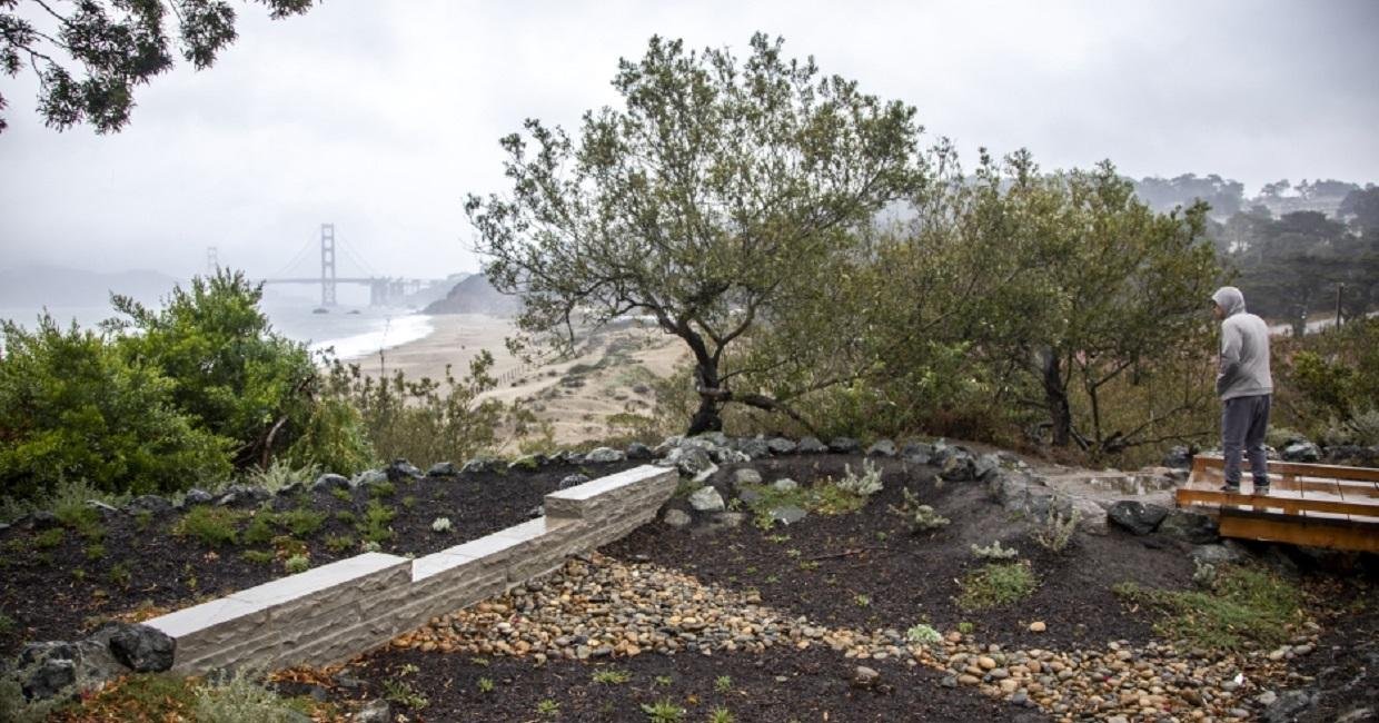 rain gardens @ baker beach