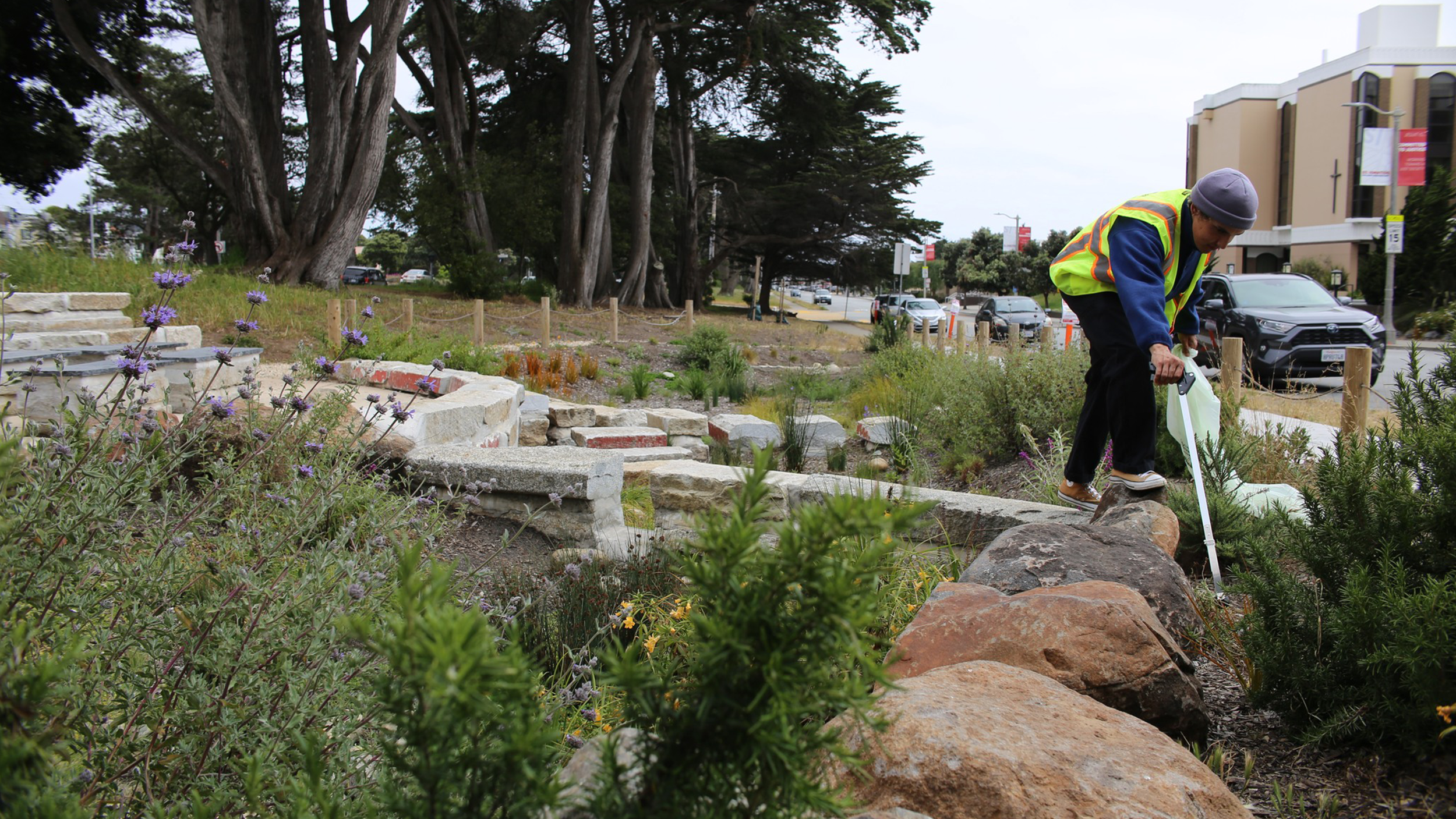 volunteers help clear litter from rain gardens at the educational learning lab