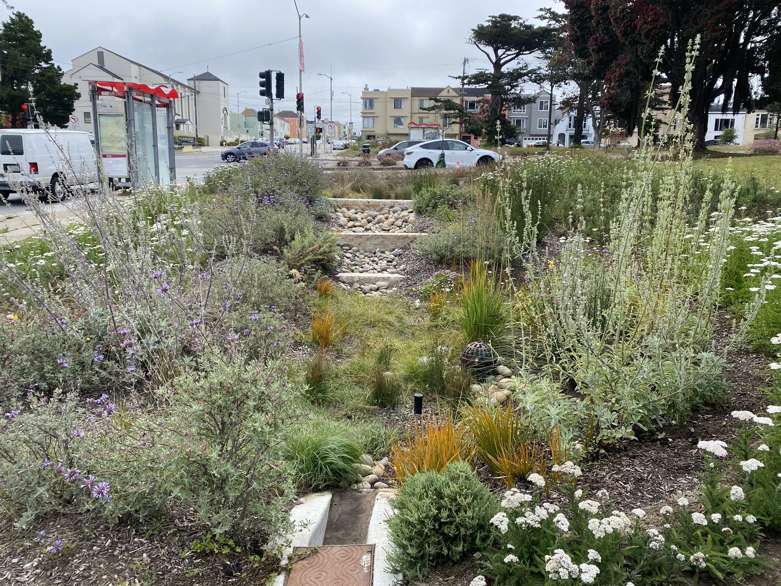 Sunset Boulevard Greenway