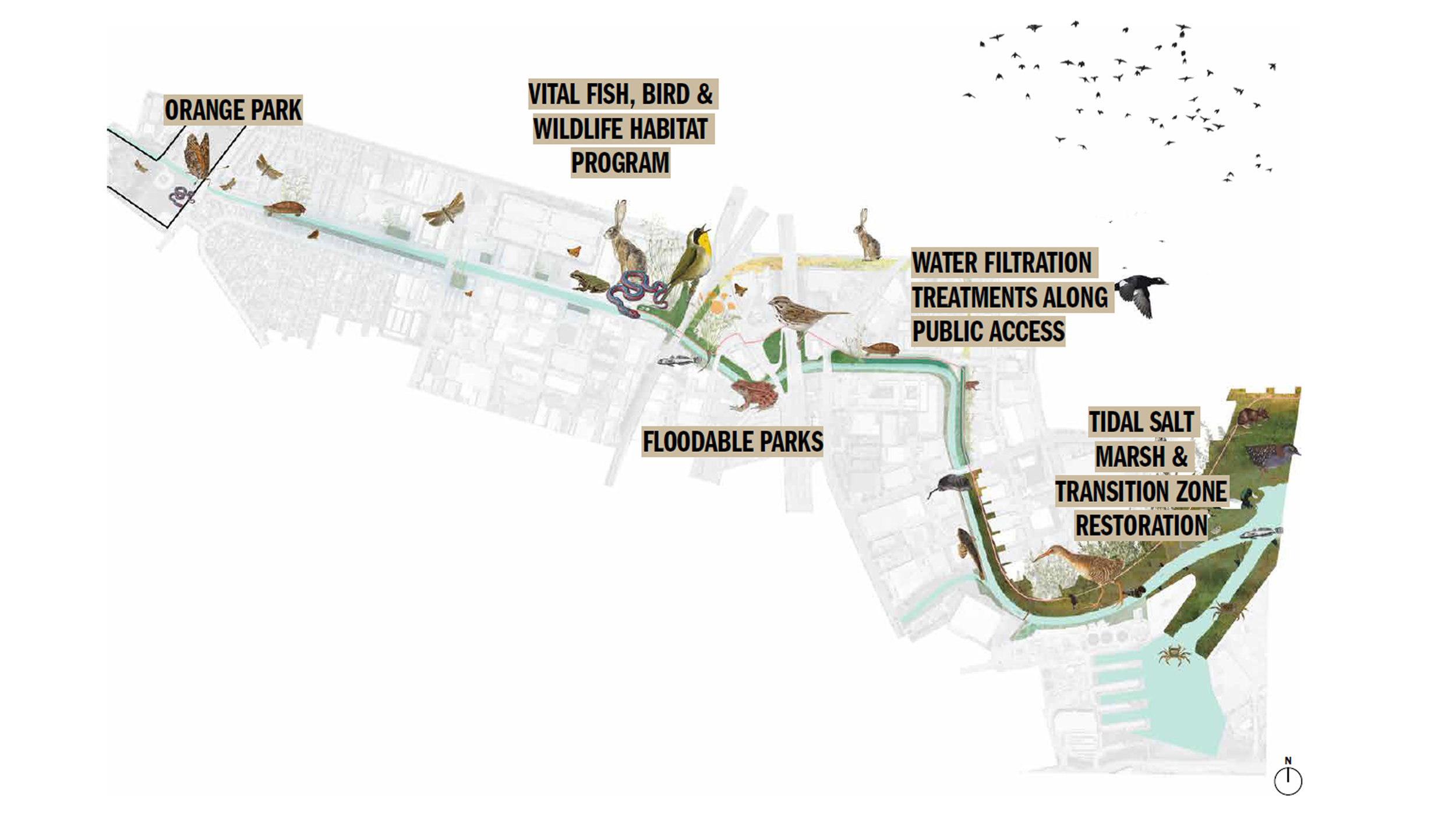 draft concept plan floodable parks and tidal marsh restoration