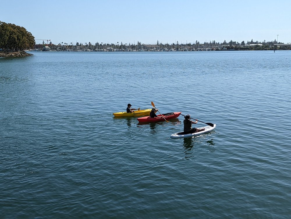 Kayaks1_AKam_20220318.jpg