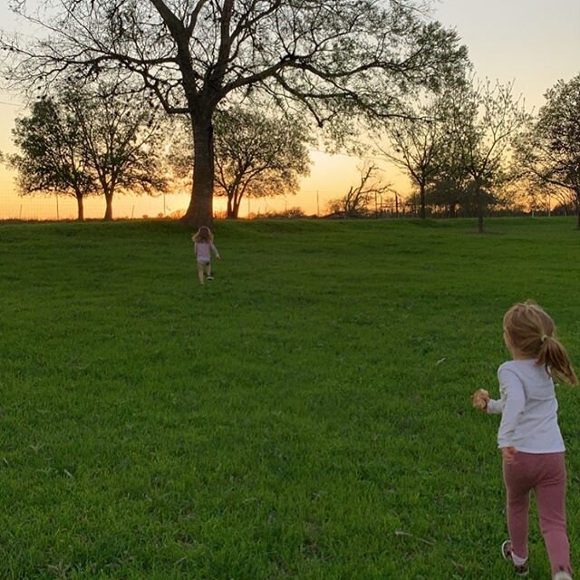 Grateful for Texas Sunsets