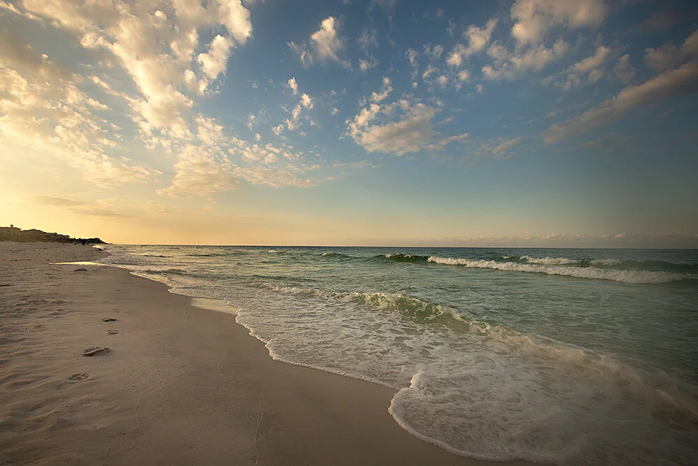 LarsonBeach2019_0117.jpg