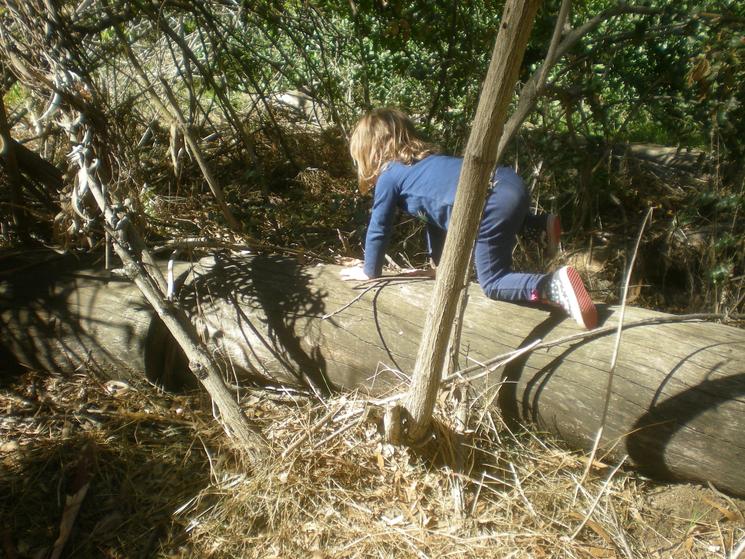 DSCN8318.jpg