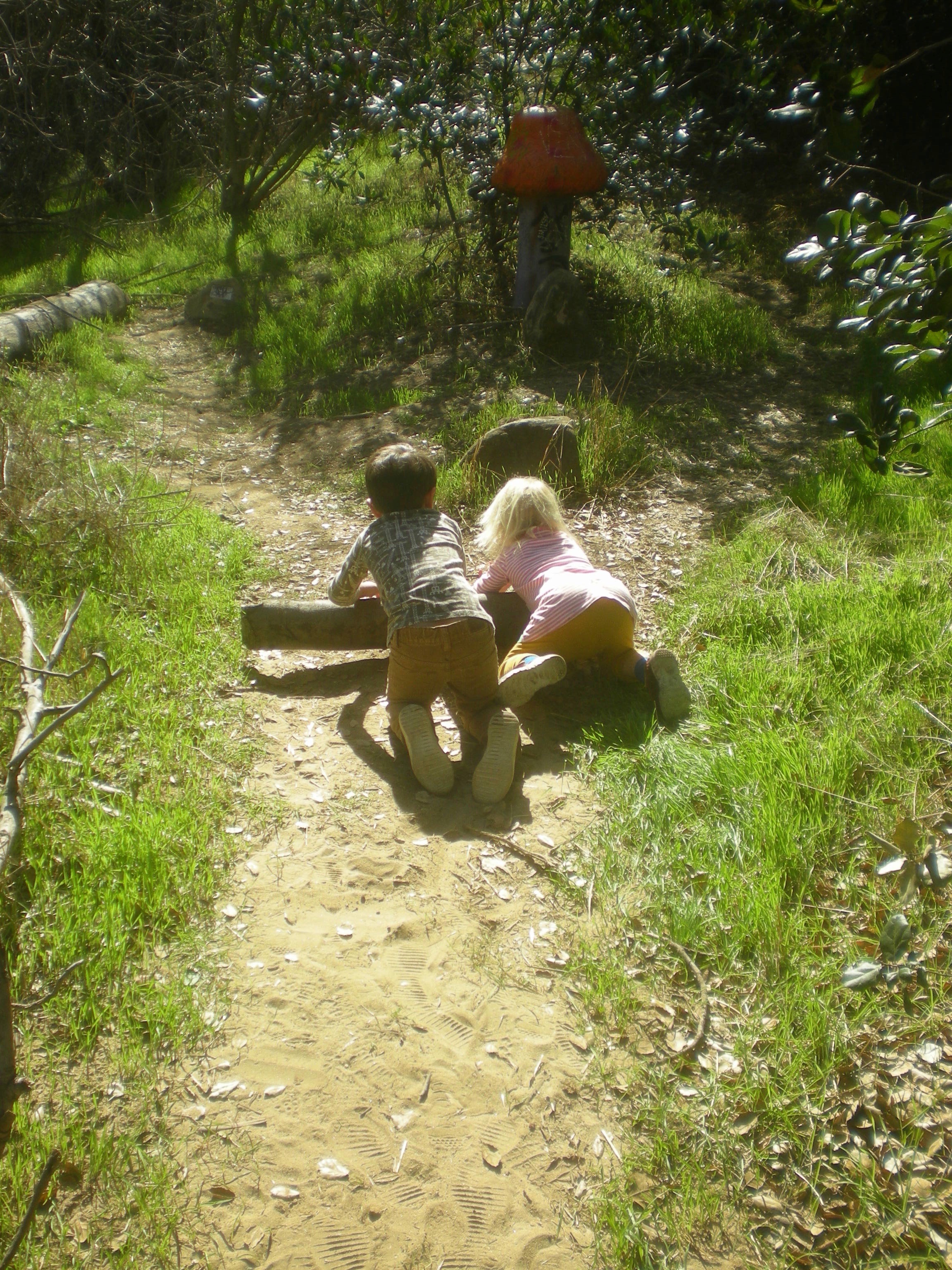 DSCN7929.jpg
