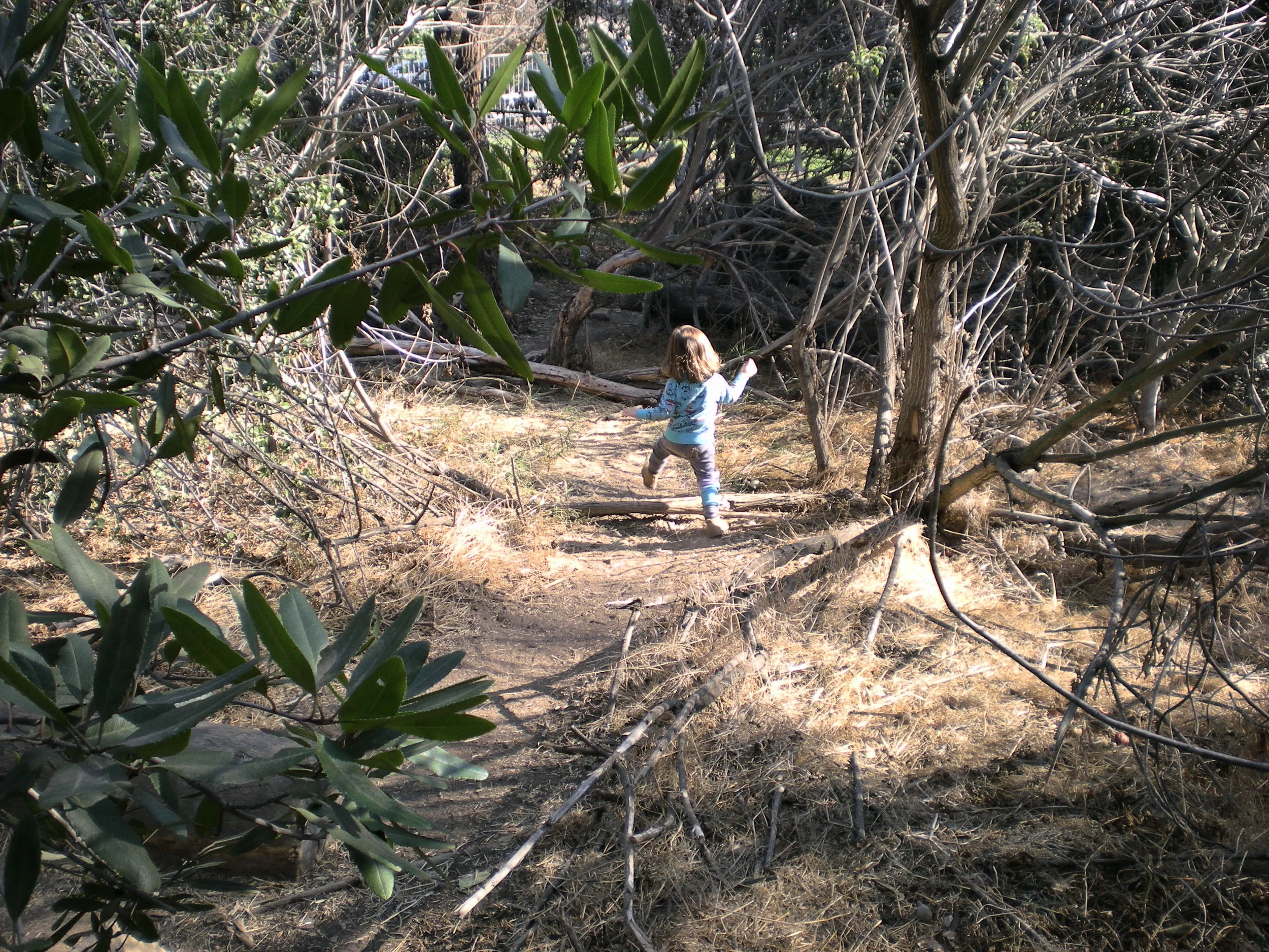 Elysian Park.