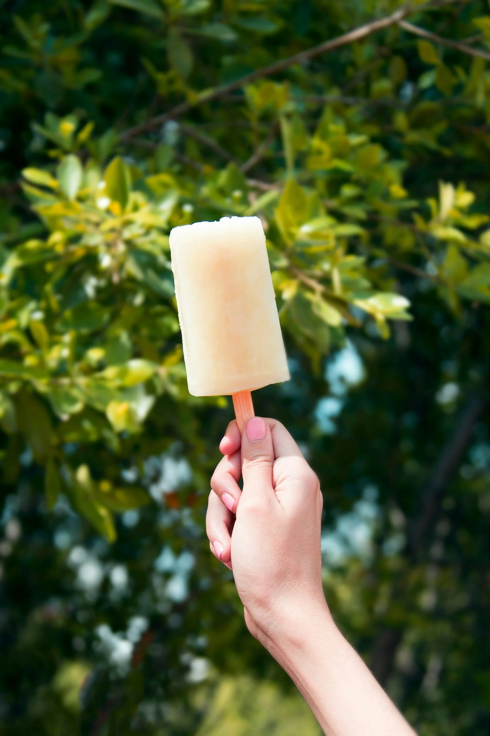 Last Day of Camp - No Nest- Pomp &amp; Popsicles
