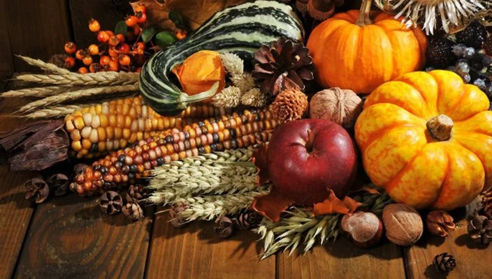 CLOSED - Fall Break/Thanksgiving