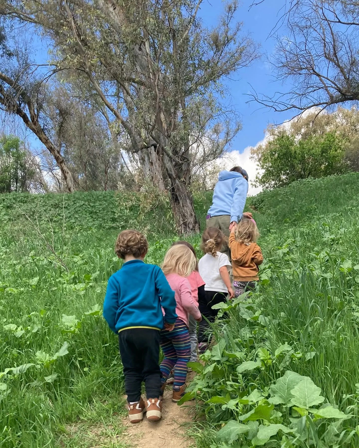 Community Hike