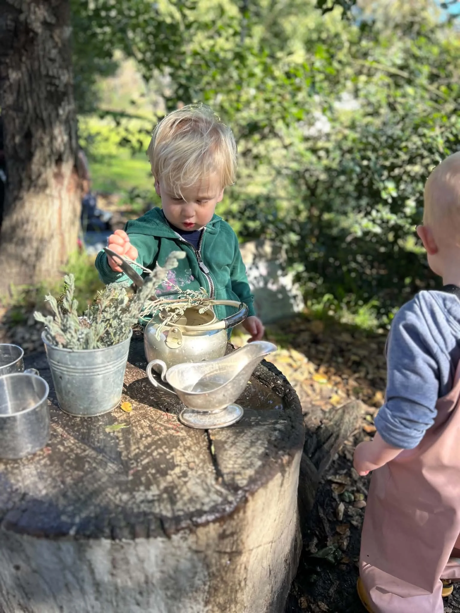 First Day of Hummingbirds Program!