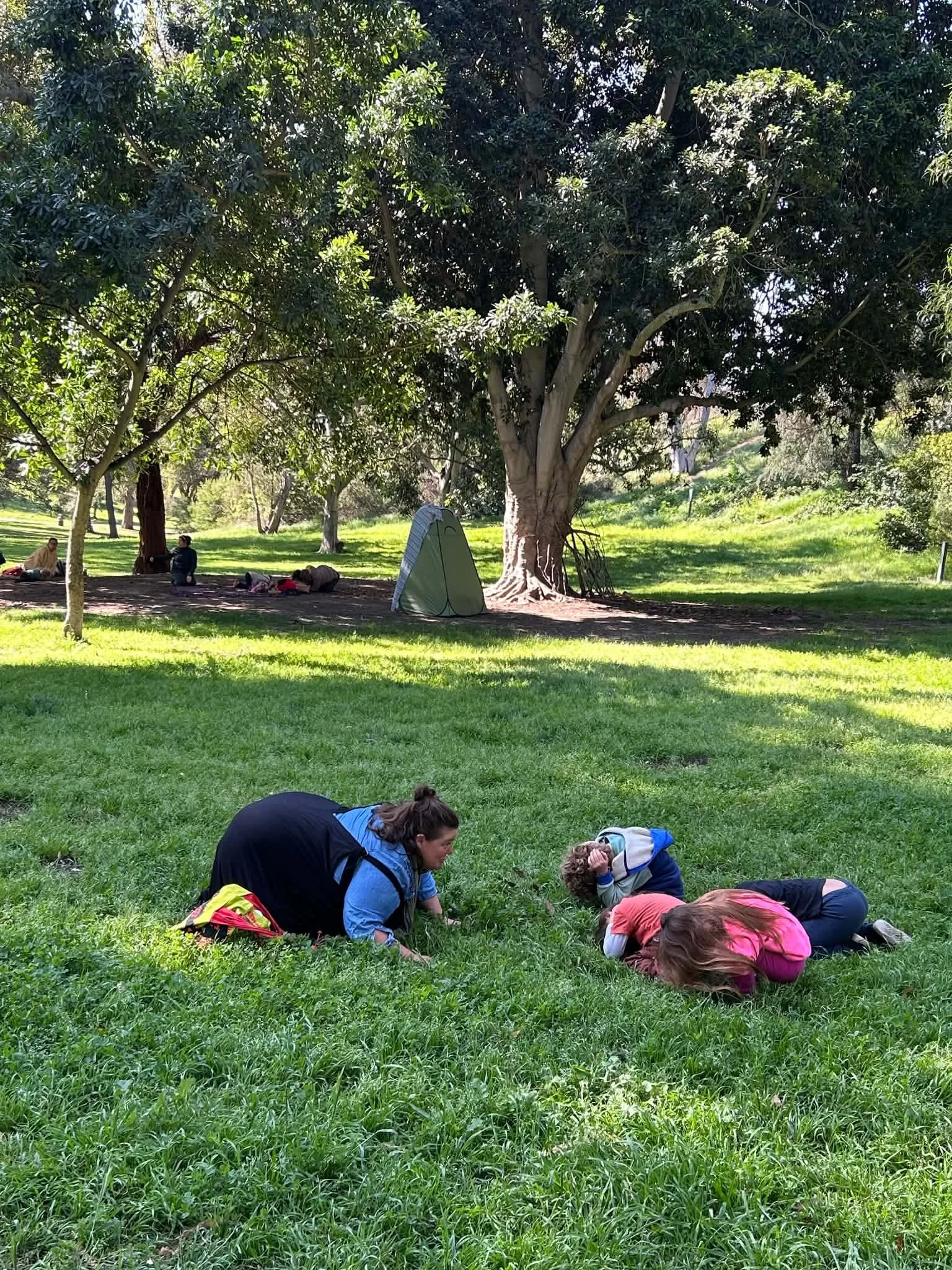 The Great Shakeout!