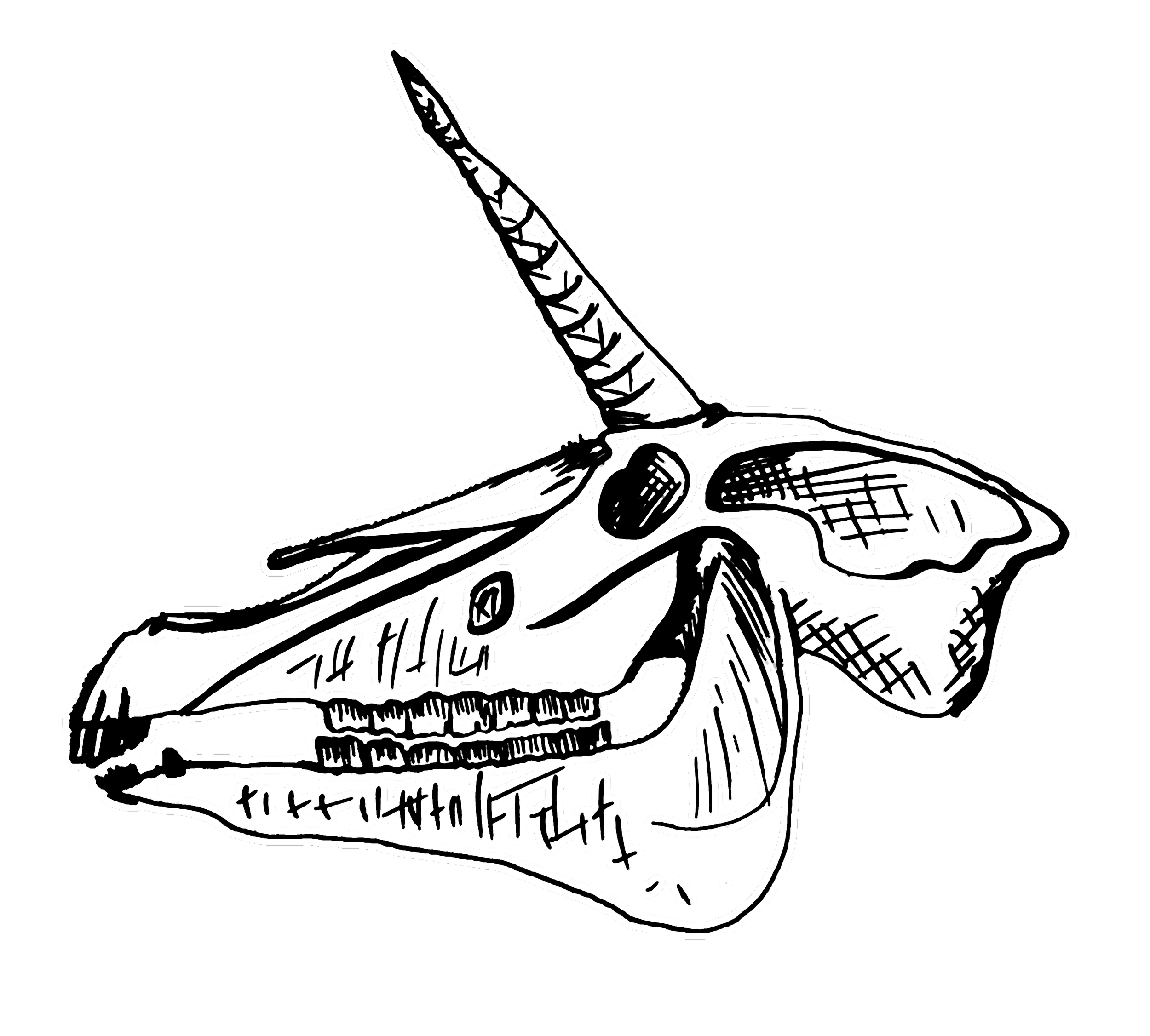 unicornskulls.png