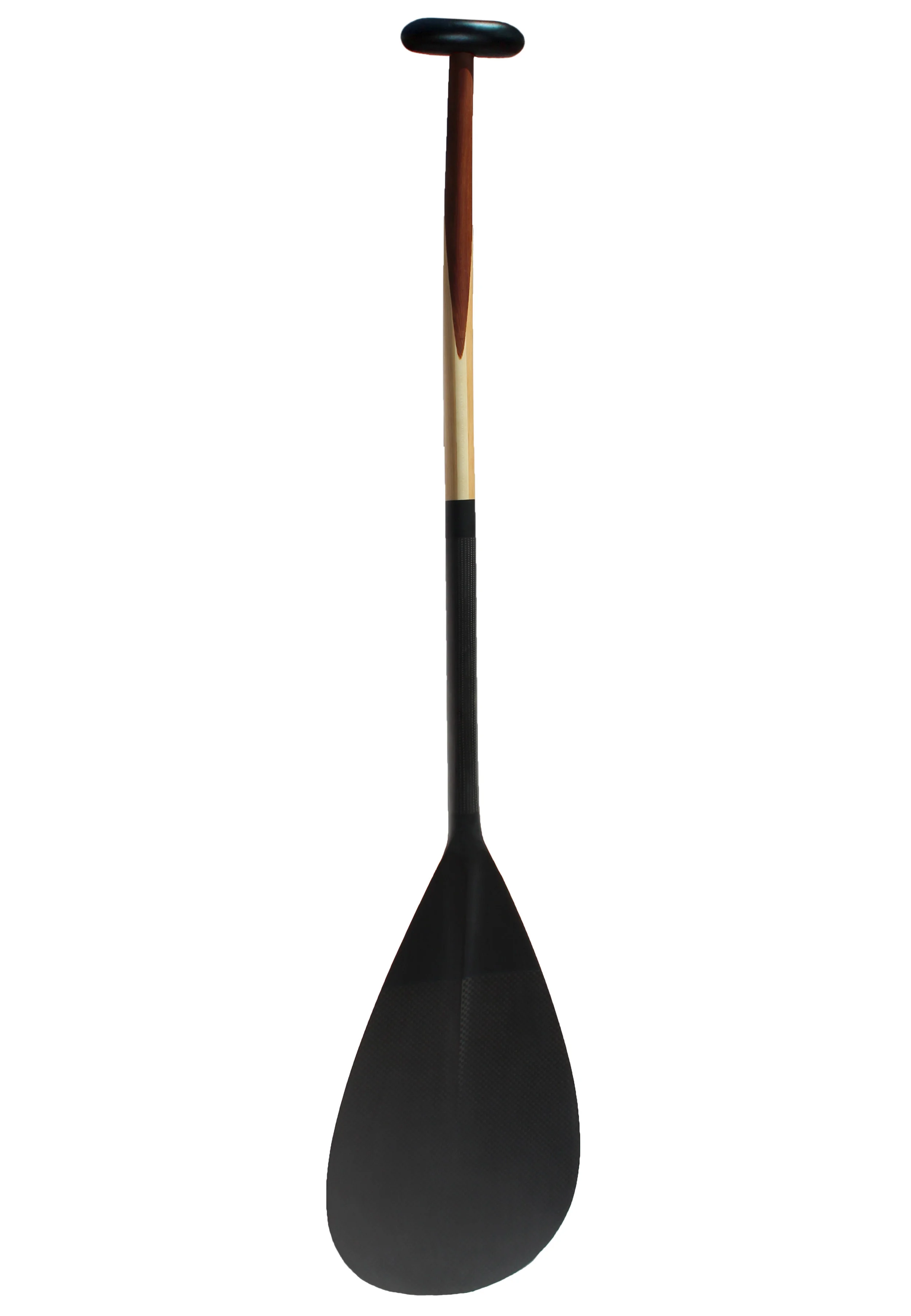 Paddle-Back-B.jpg