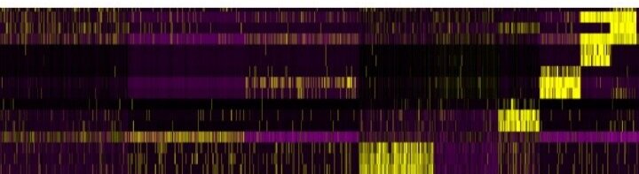 heatmap+scrnaseq+crc.jpg