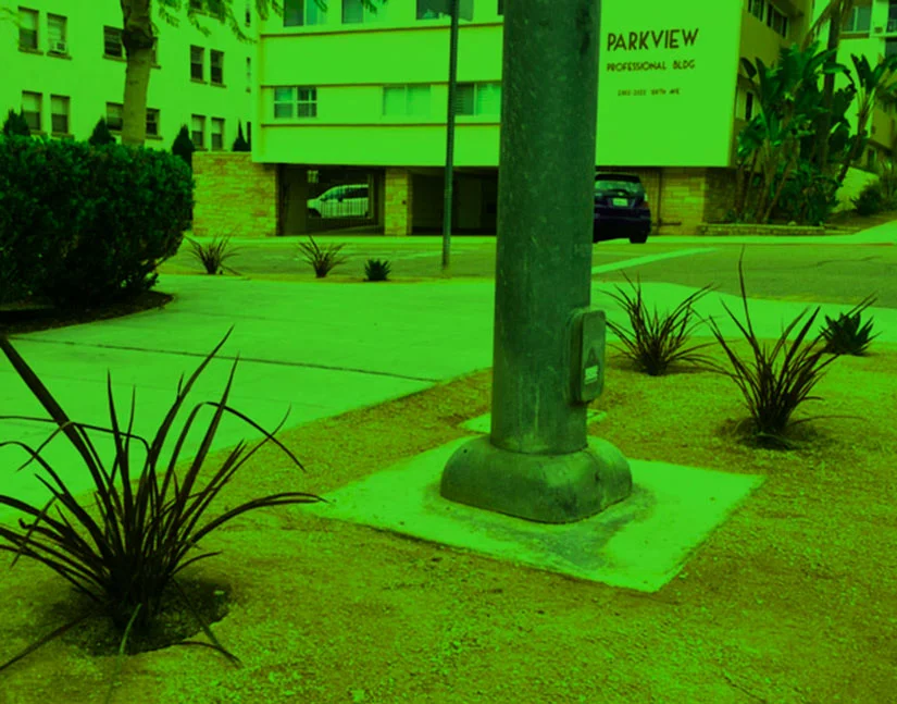 'A Parallel Universe (to Balboa Park)' in Banker's Hill landscape design in Banker's Hill, San Diego