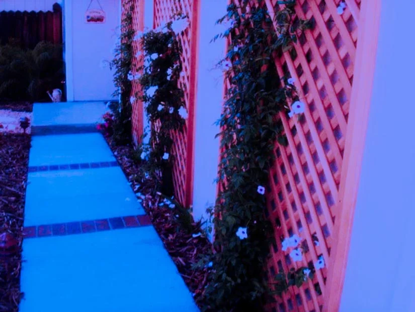 PICT1216.JPG