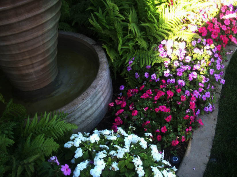 PICT0392.JPG