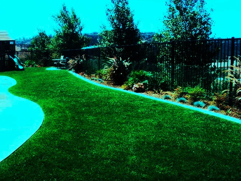 'A Spacious Utopia' in Escondido installed landscape - Escondido, San Diego