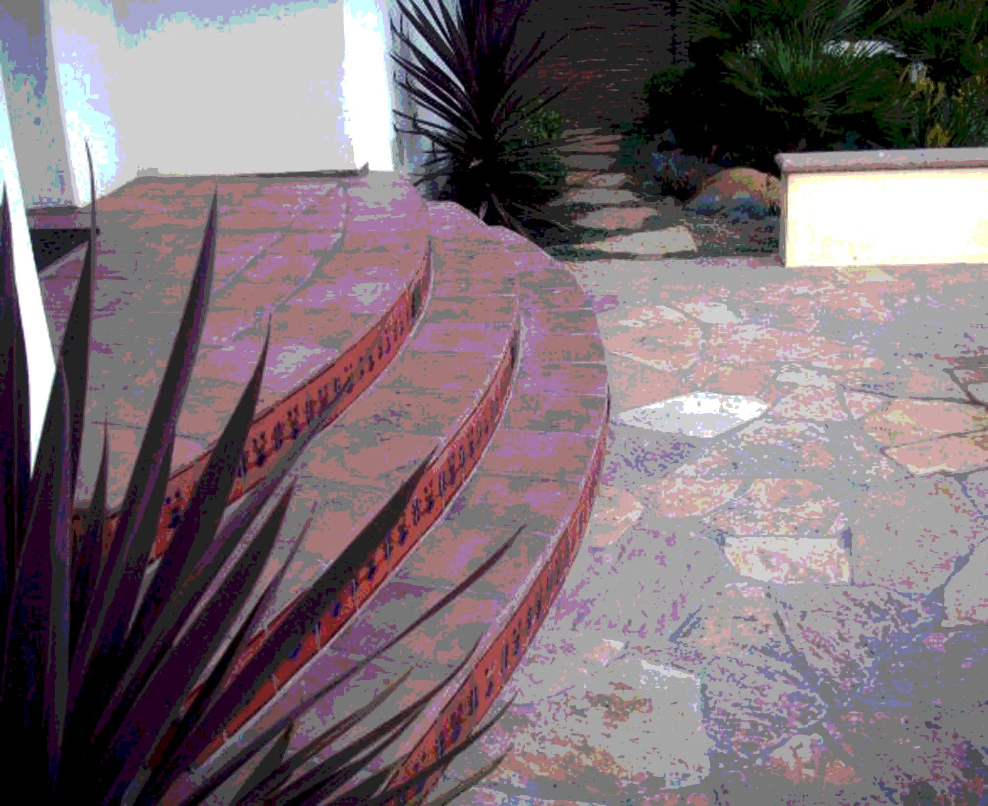 PICT1797.jpg