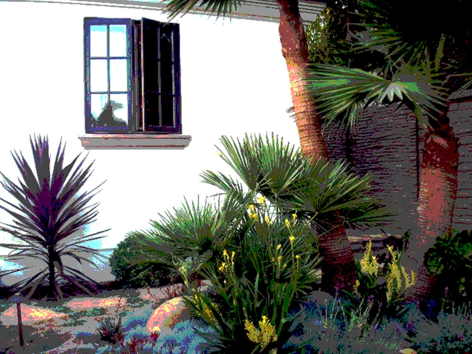 PICT1759.jpg