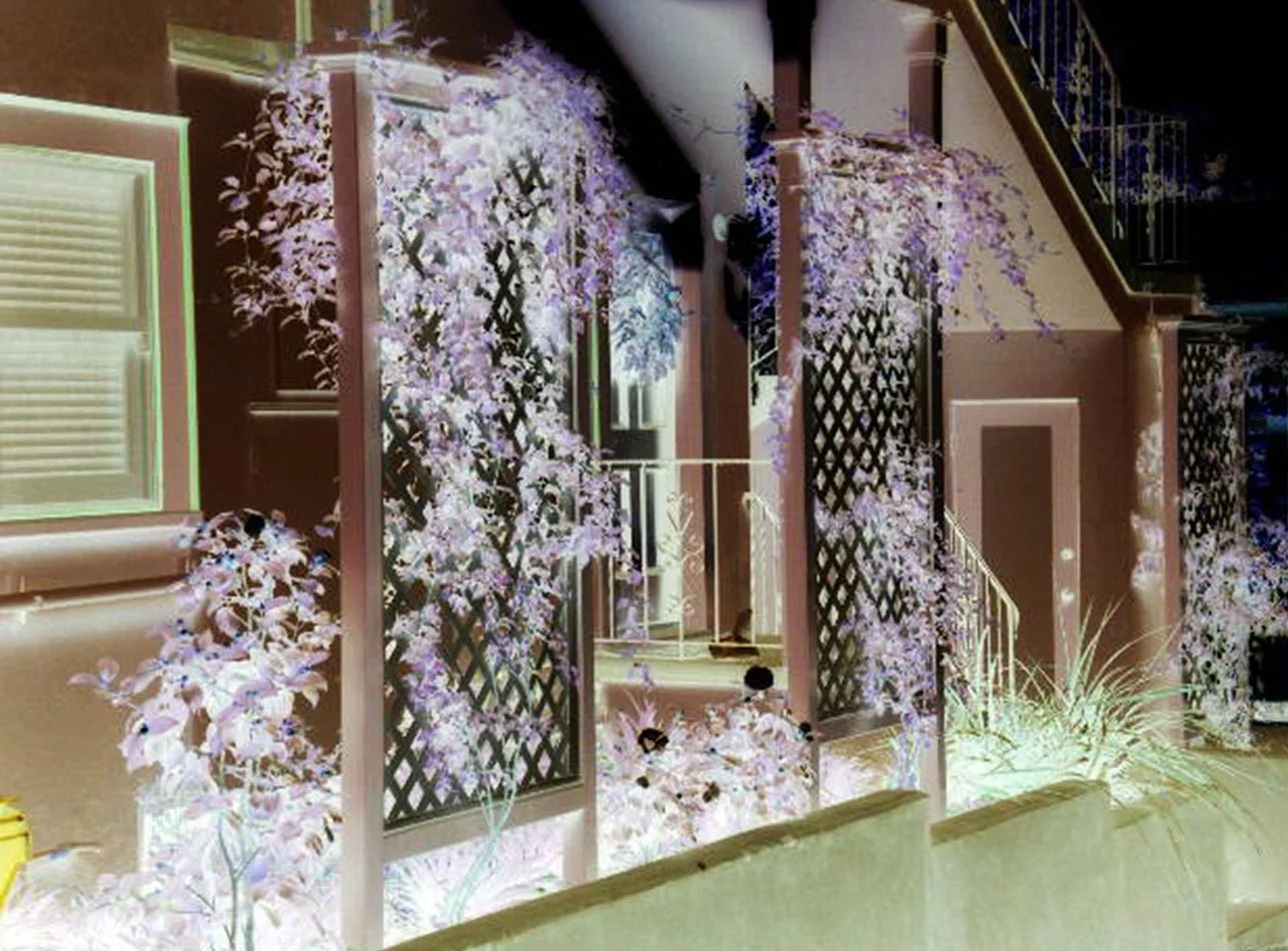 trellises.jpg