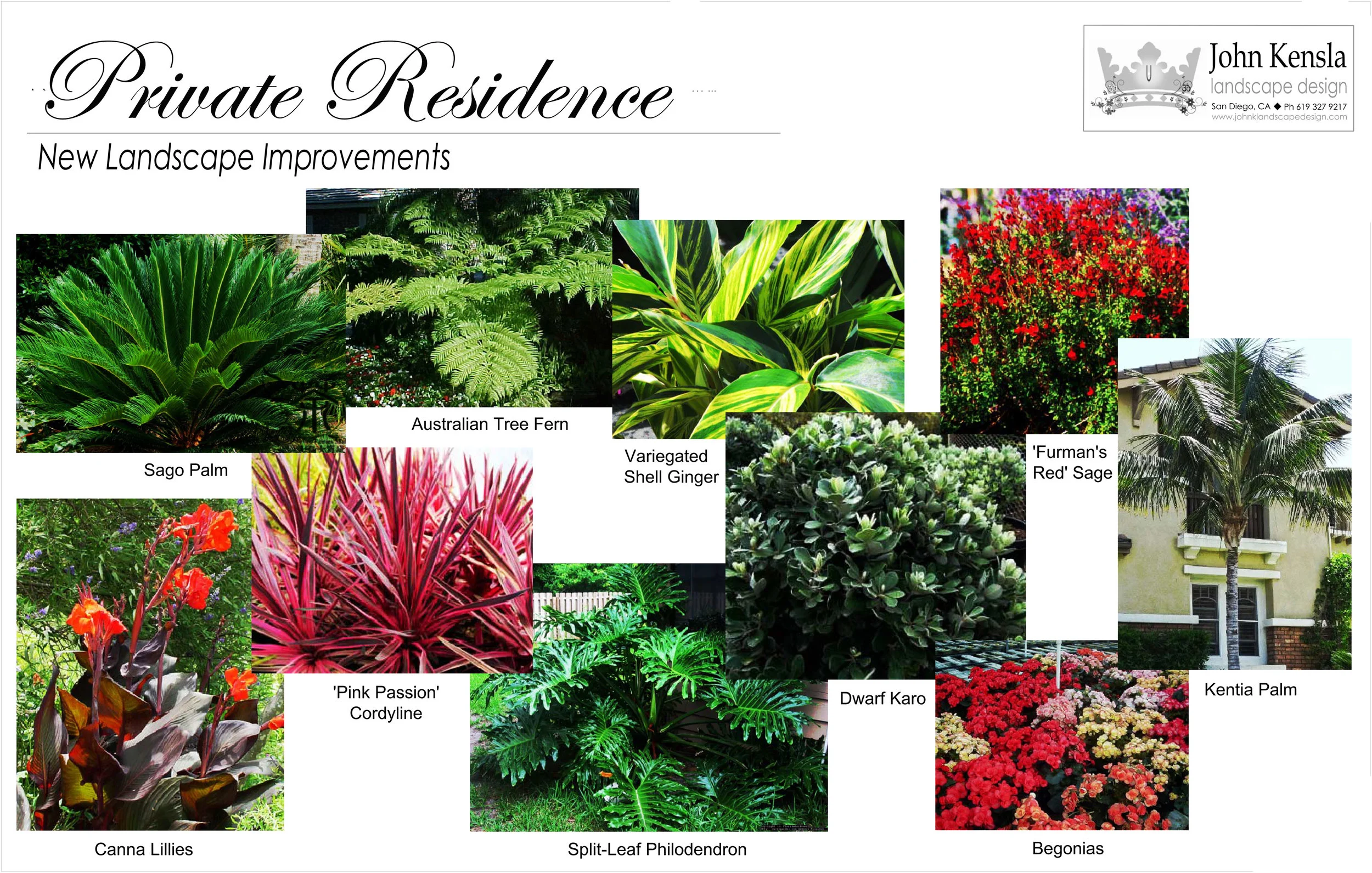 Tropical Plant Images.jpg