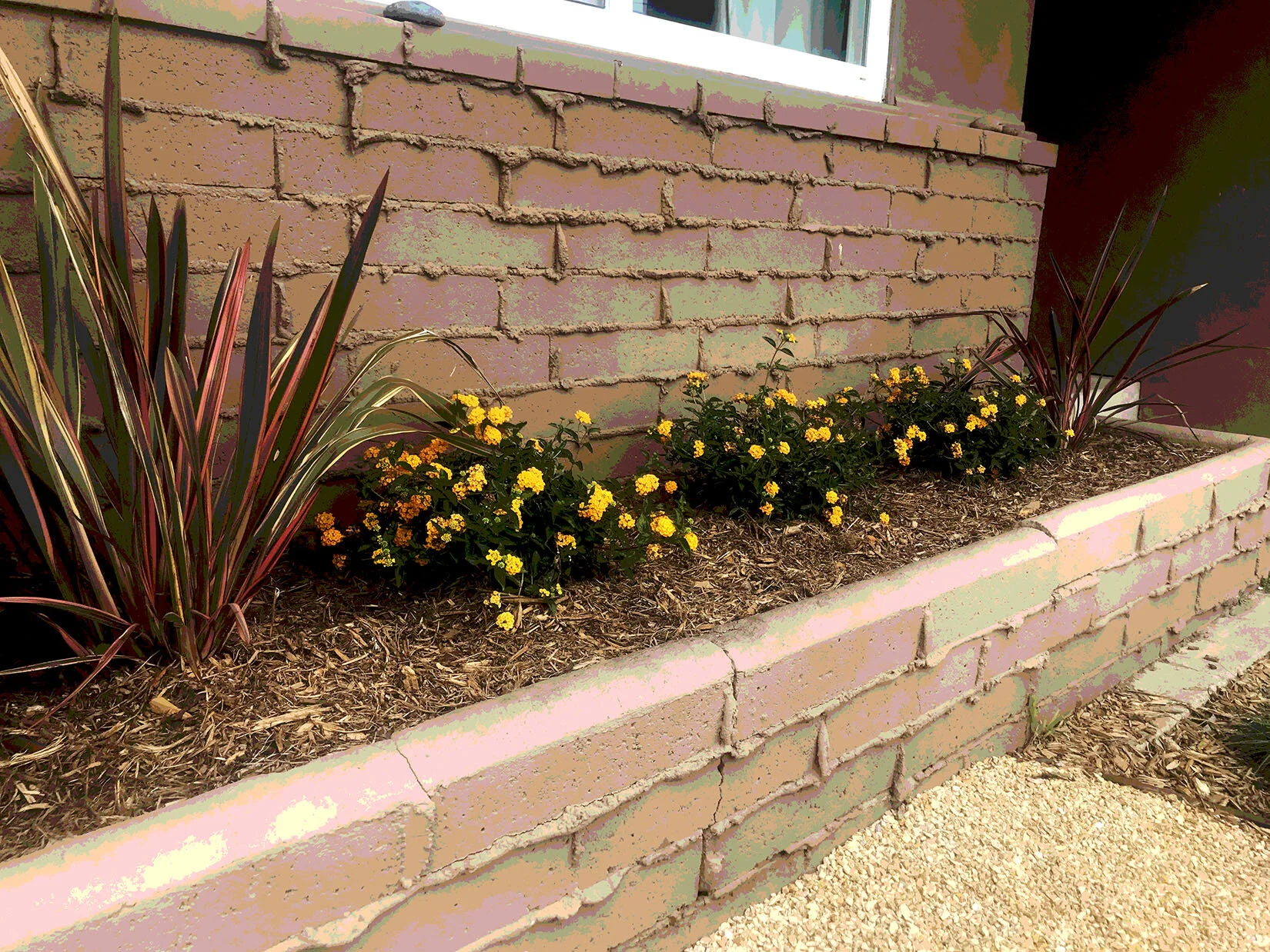'The Magic Conch Shell' in University Heights installed landscape - University Heights, San Diego