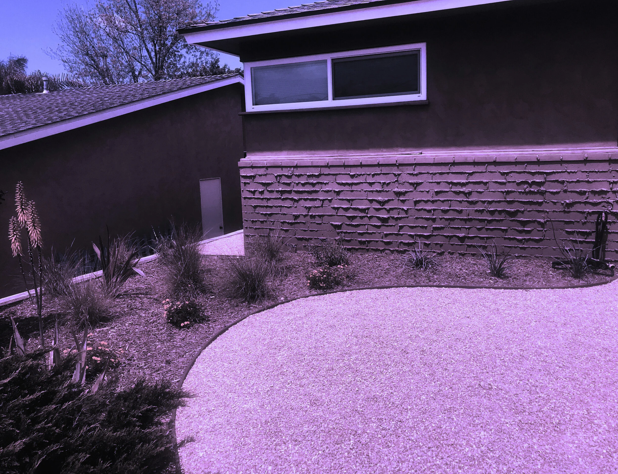 'The Magic Conch Shell' in University Heights installed landscape - University Heights, San Diego