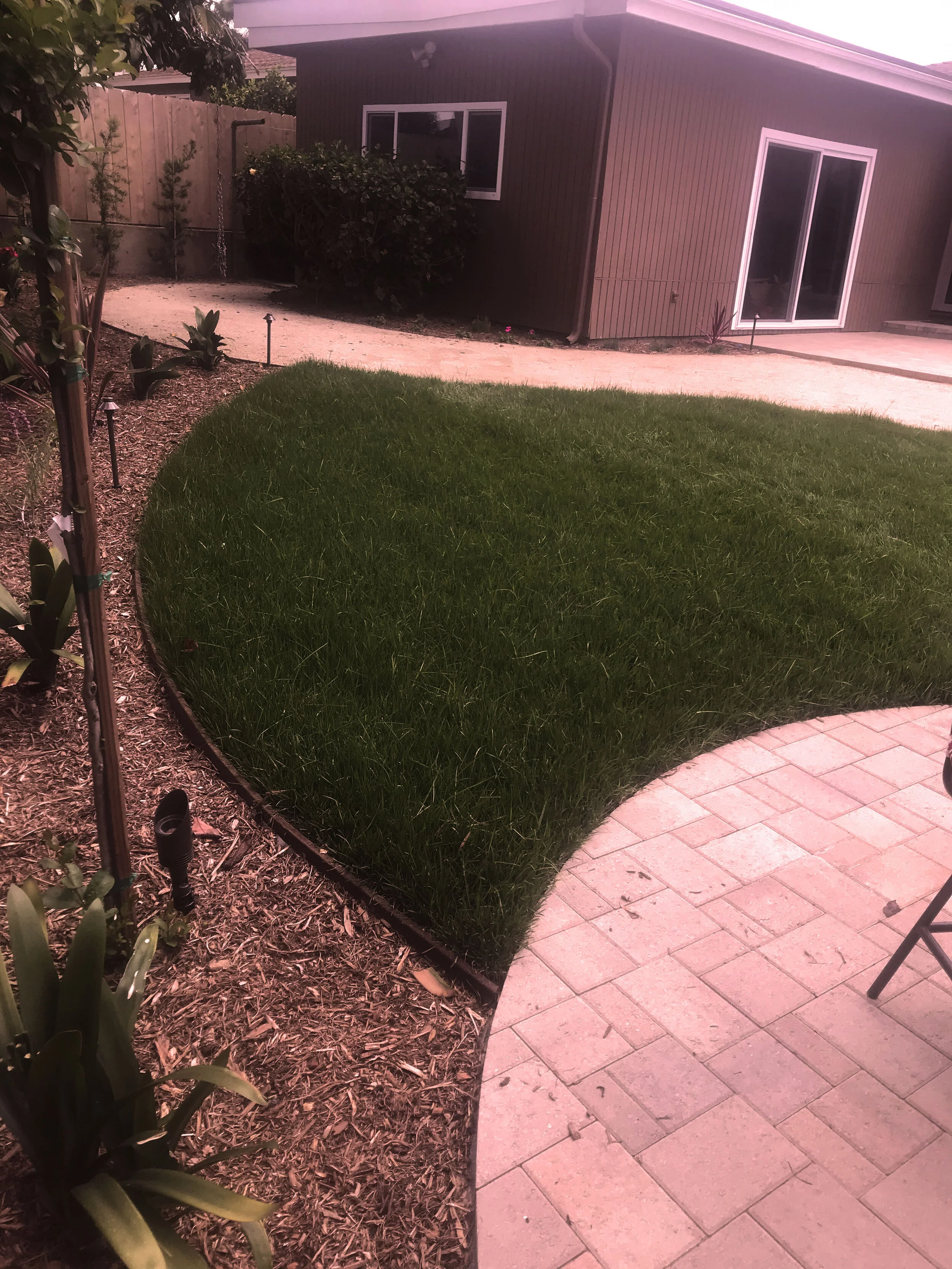 'The Magic Conch Shell' in University Heights installed landscape - University Heights, San Diego