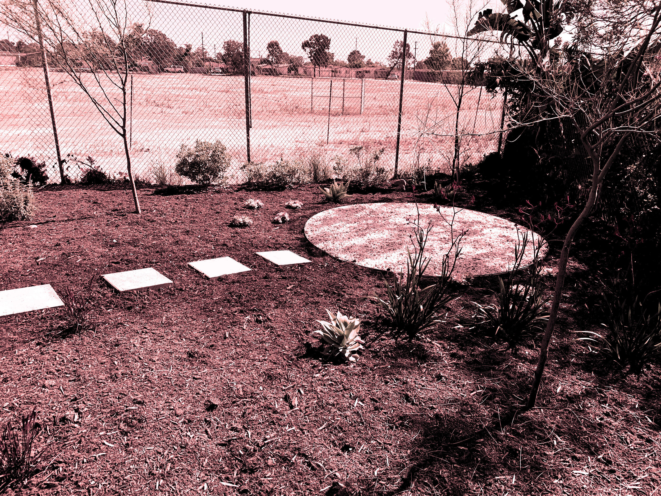 'Galactic Portals' in Clairemont installed landscape - Clairemont, San Diego