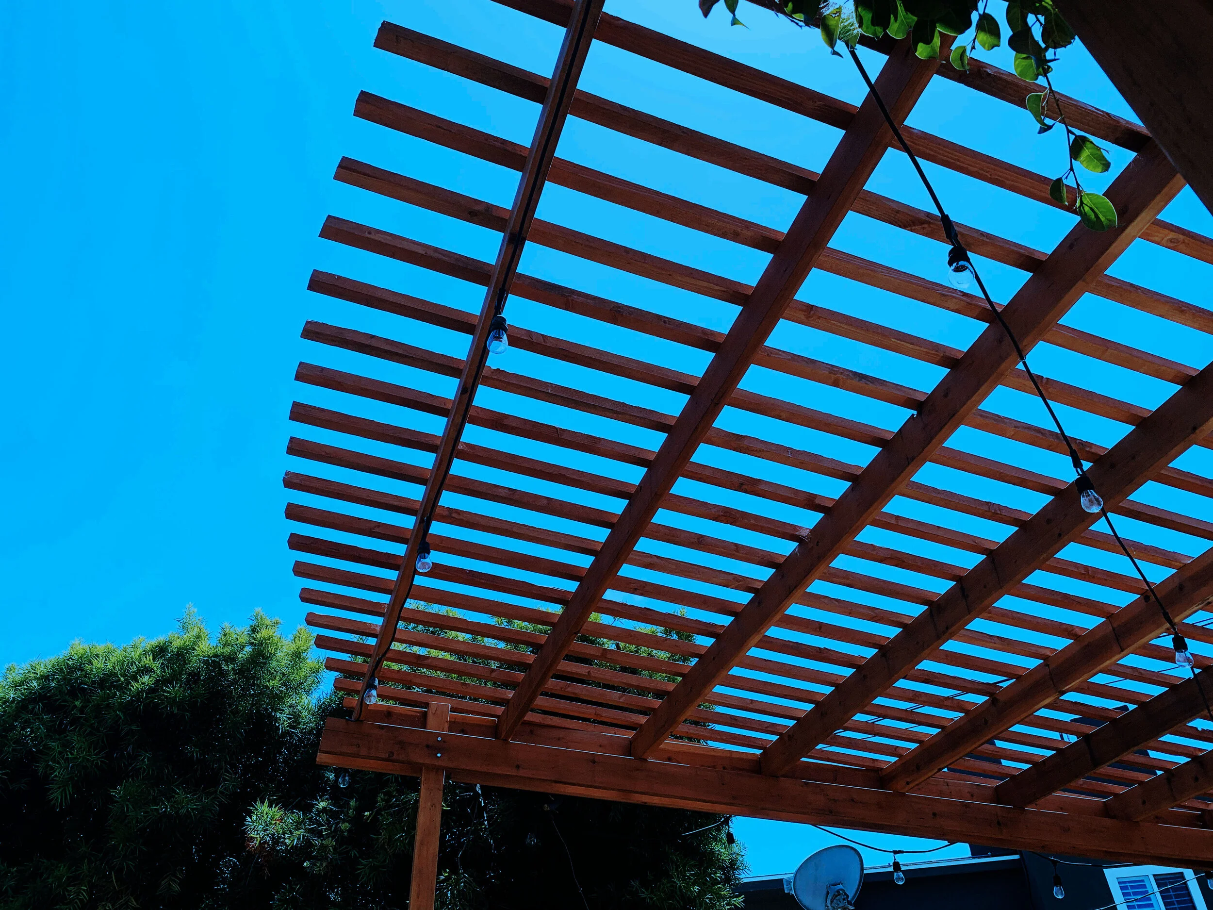 'California Dreamin' in Coronado installed landscape - Coronado, San Diego