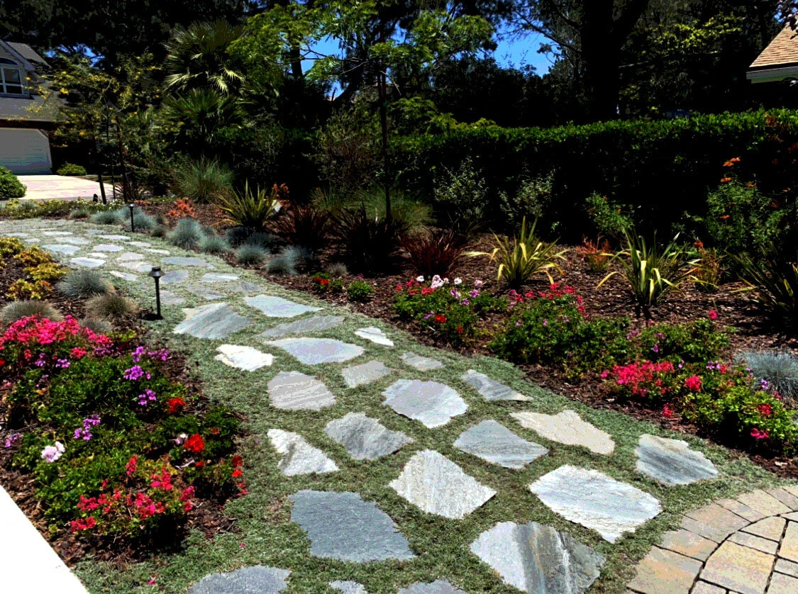 'A Heavenly Plateau' in Del Mar landscape design in Del Mar, San Diego