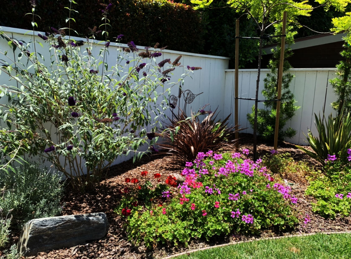 2020-06-30 19.05.19-2.jpg