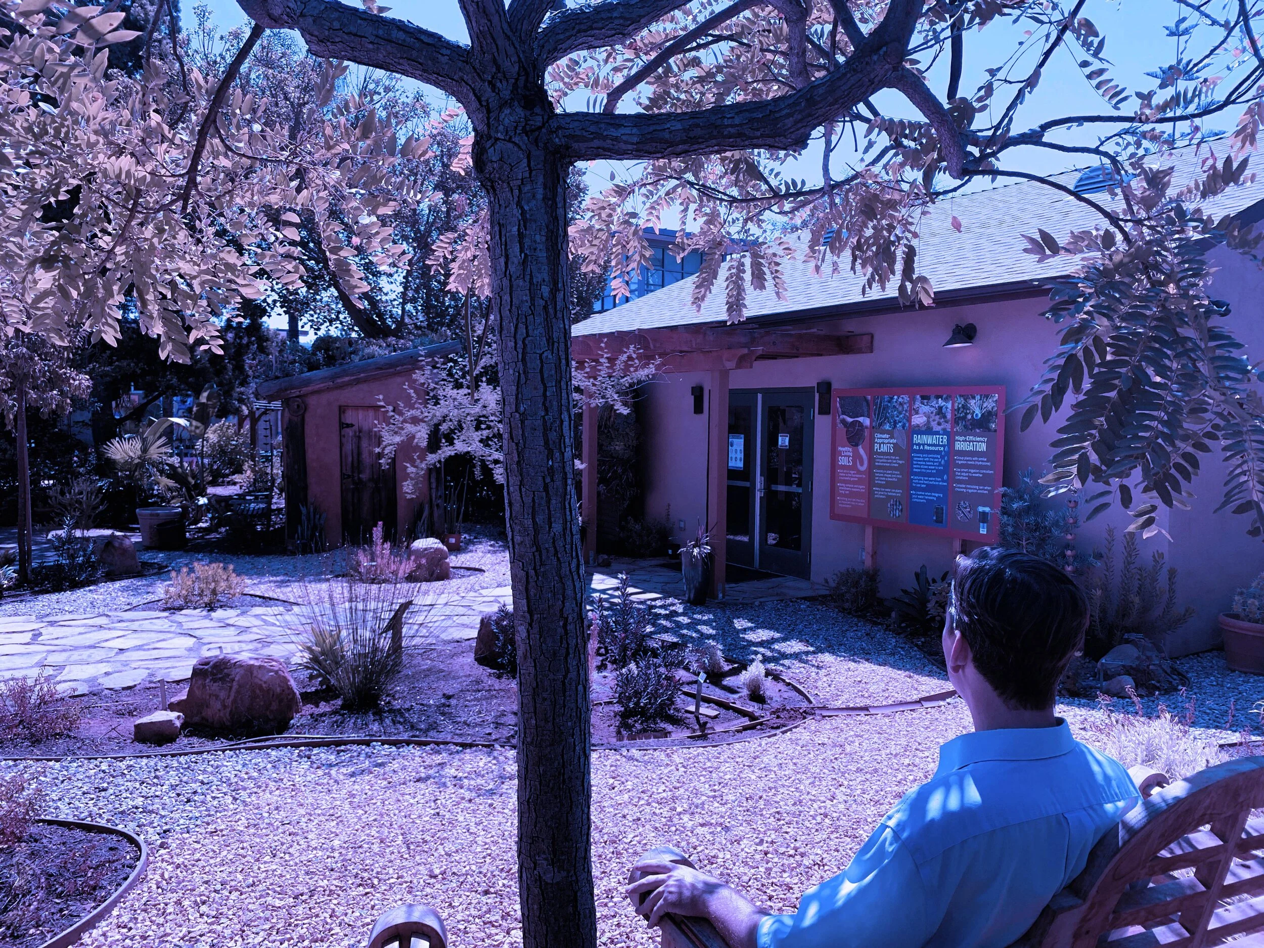 Cuyamaca Water Conservation Garden: *Design Contest Winner* in El Cajon installed landscape - El Cajon, San Diego County