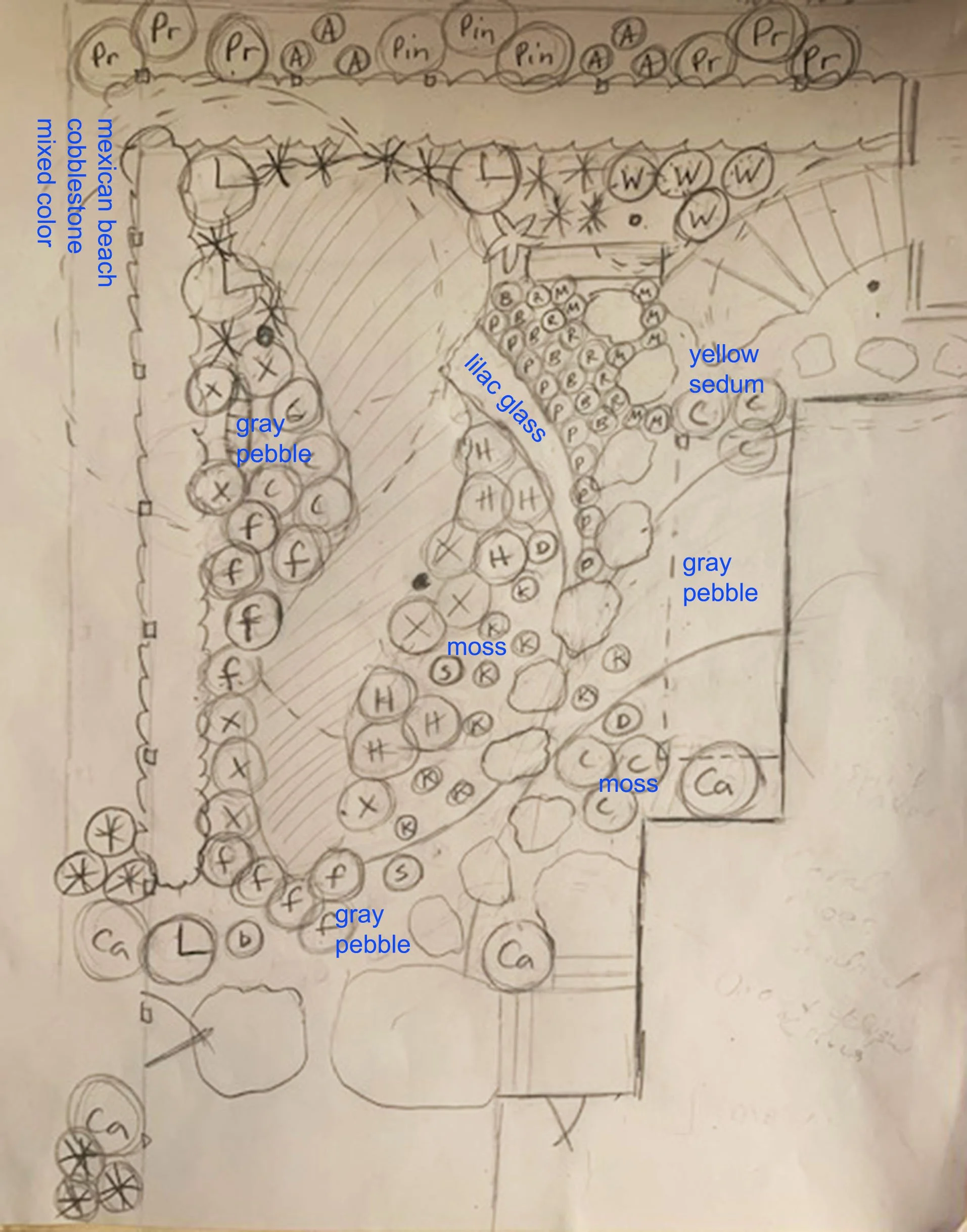 Glass~ Final Sketch in Pencil.jpg
