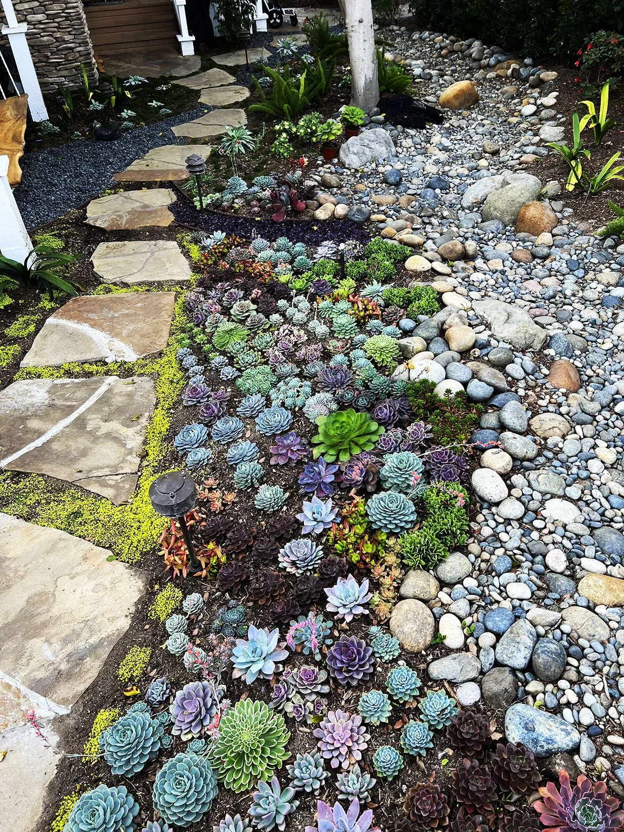 'The Butterfly Painting' in Solana Beach installed landscape - Solana Beach, San Diego