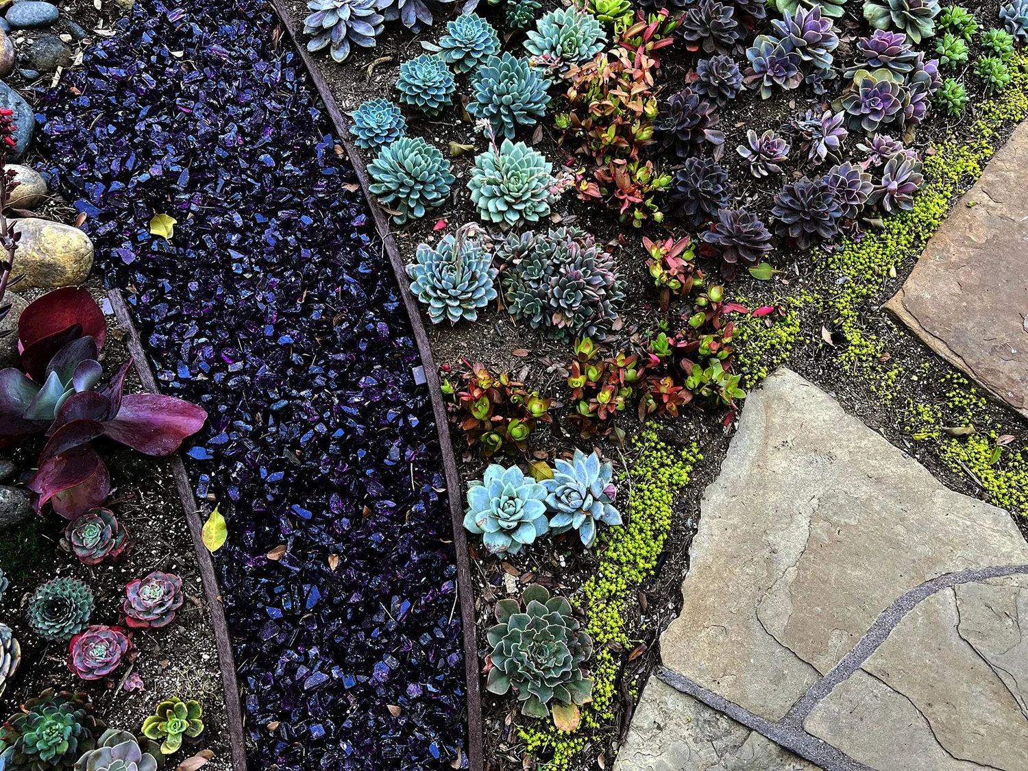 'The Butterfly Painting' in Solana Beach landscape design in Solana Beach, San Diego