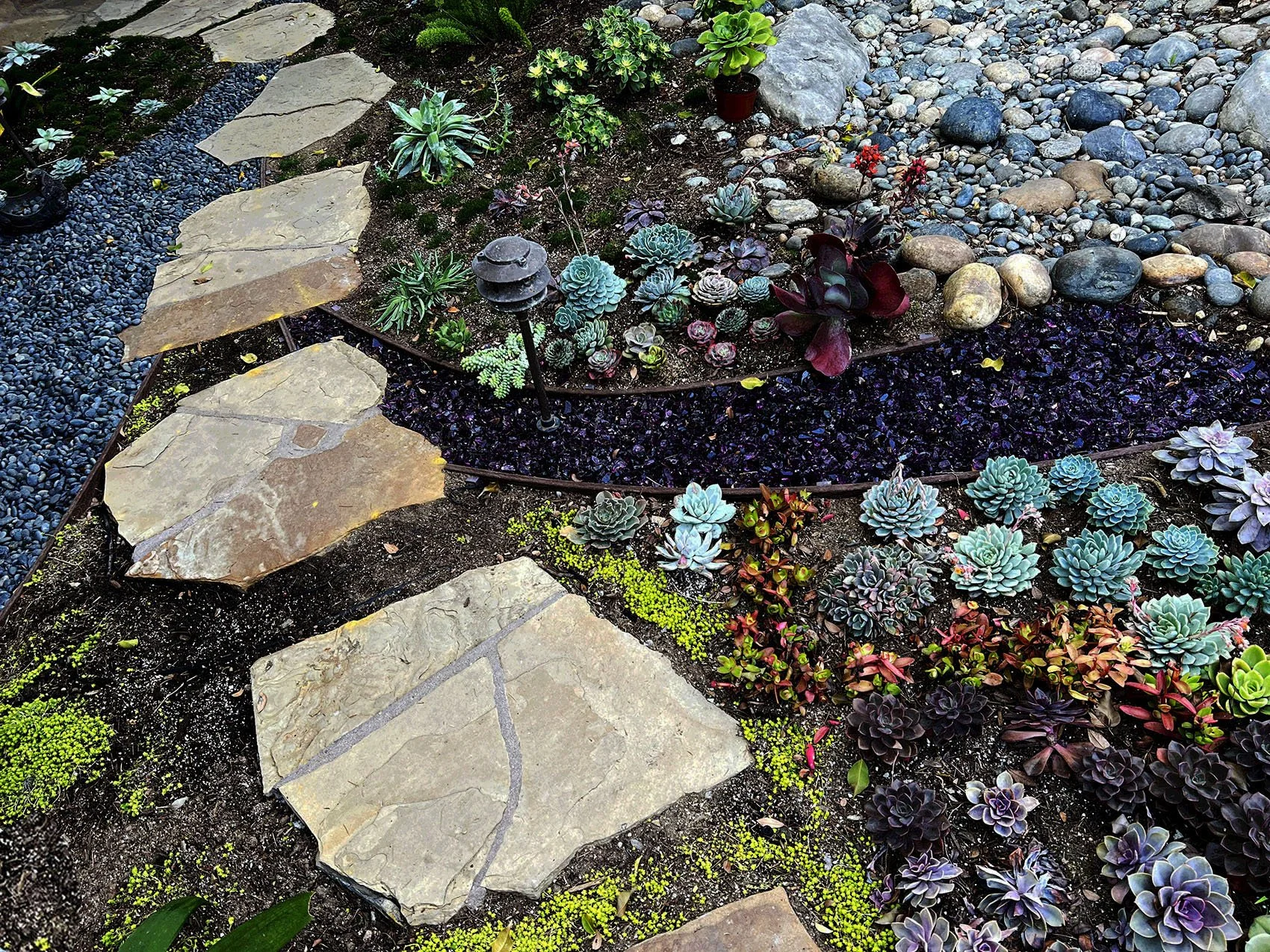 'The Butterfly Painting' in Solana Beach installed landscape - Solana Beach, San Diego